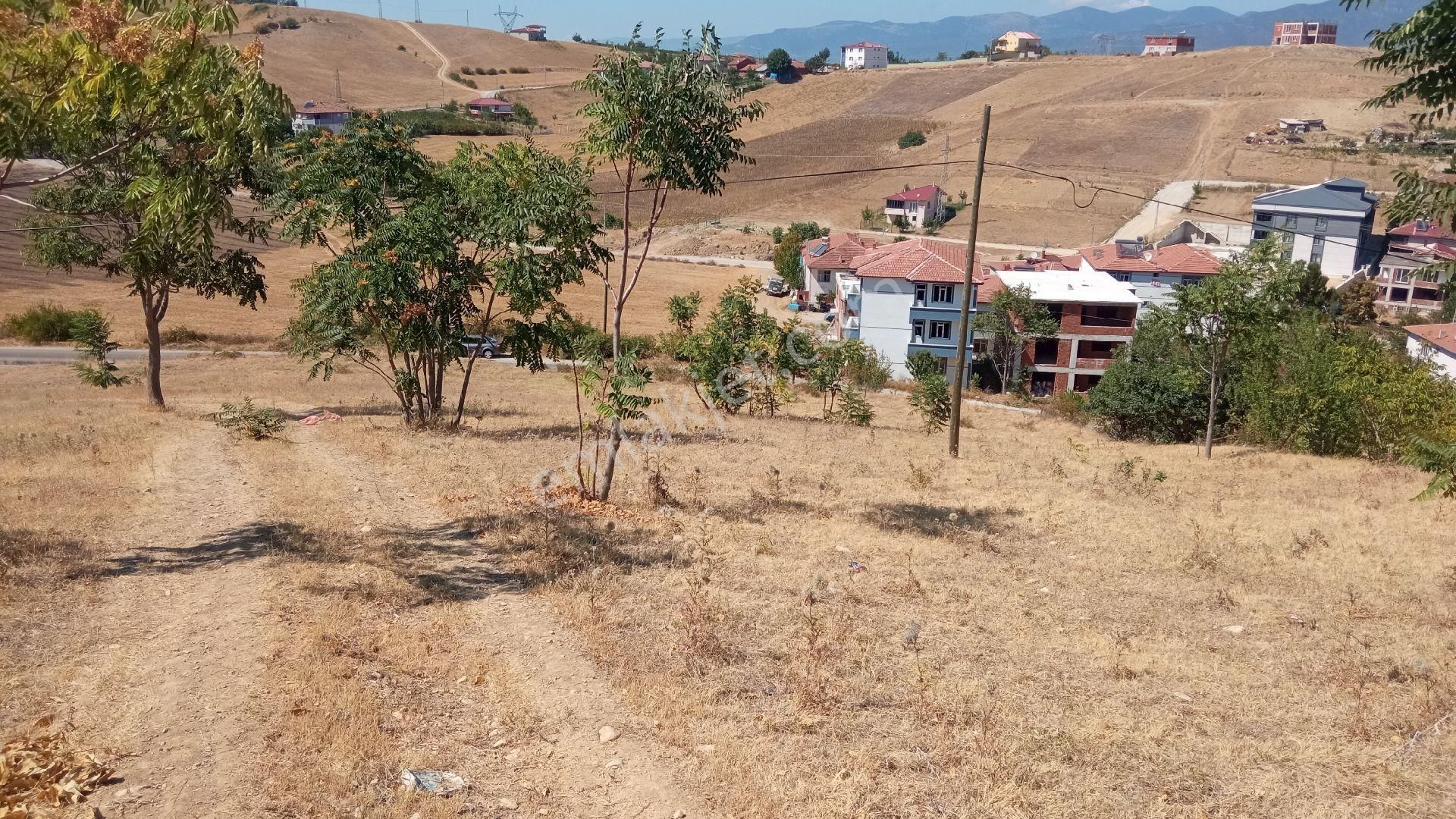 Tokat Erbaa Sarmatut Dolmuş Durağı Mevki 3 Adet Toplam 35 Dönüm Arazi - Görsel 3
