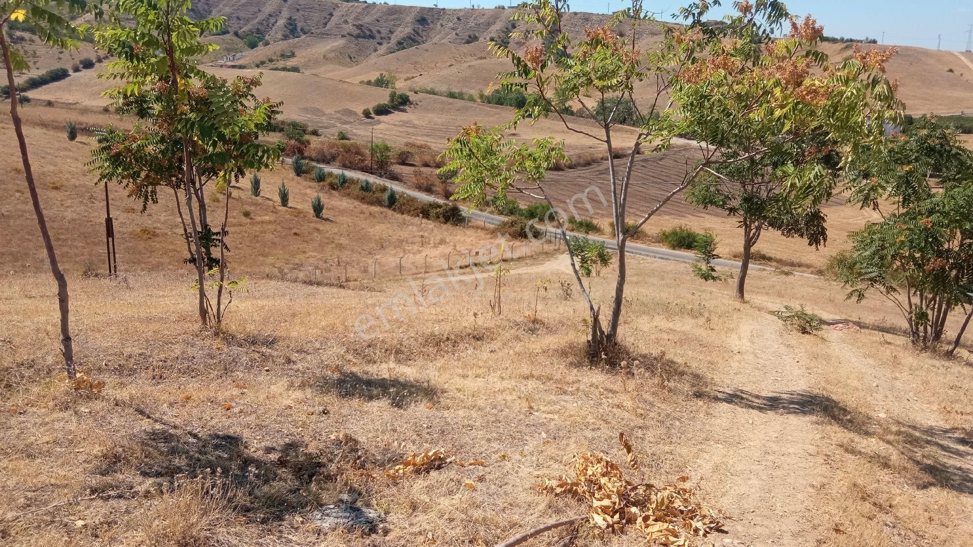 Tokat Erbaa Sarmatut Dolmuş Durağı Mevki 3 Adet Toplam 35 Dönüm Arazi - Görsel 5