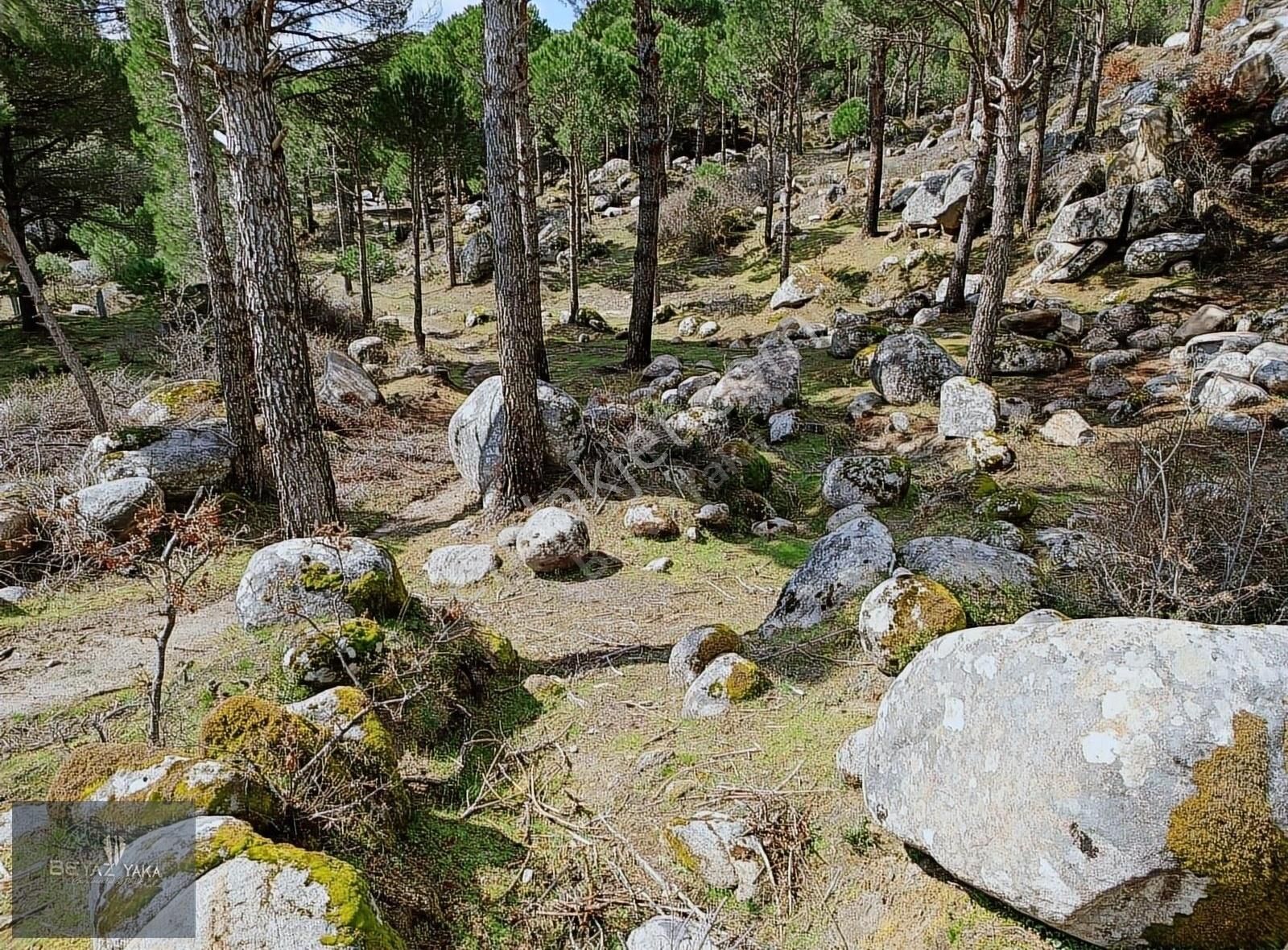 Bergama Hacıhamzalar Satılık Tarla BEYAZYAKA'DAN BERGAMA HACIHAMZALAR MAH. SATILIK ARAZİ