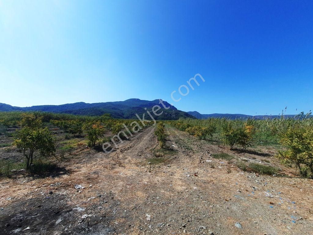 Ortaca Dalyan Satılık Arazi  Dalyanda 26.200 m2 köy merasına sıfır kelepir arazi satılık  