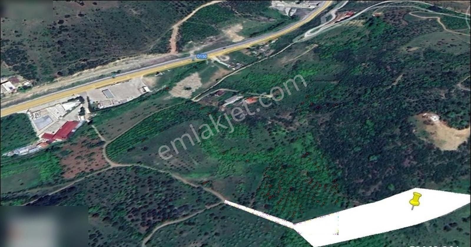 Geyve Alifuatpaşa Satılık Bağ & Bahçe Geyve Epçelerde 6900 M2 Bahçe Bunglow Olabilir.