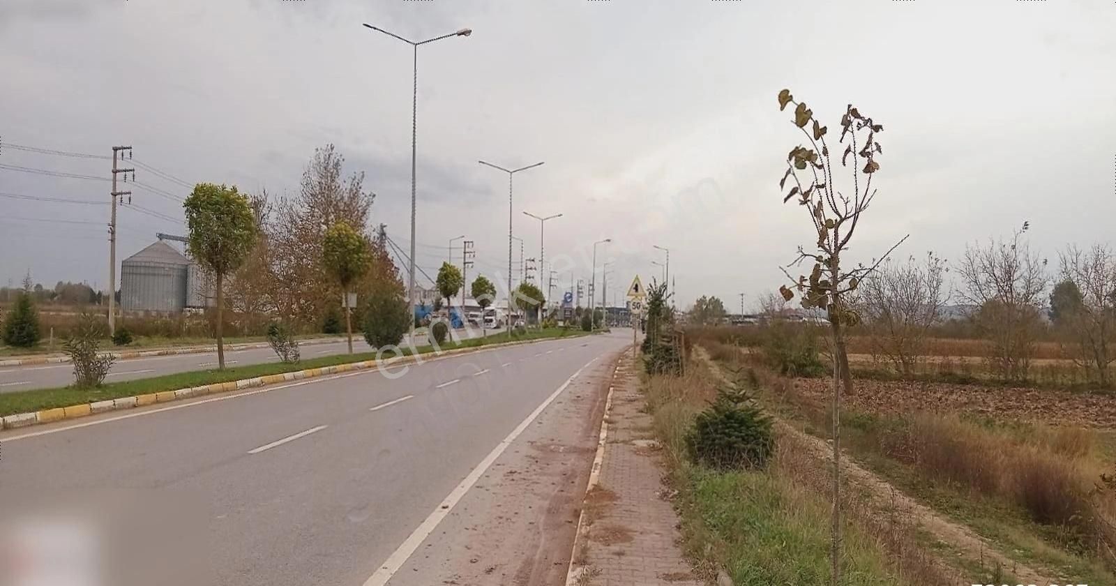 Söğütlü Gündoğan Satılık Tarla Söğütlü Osbgirişi İmar Sınırında 7303 M2 Tarla Osb Yol Cephe 35m