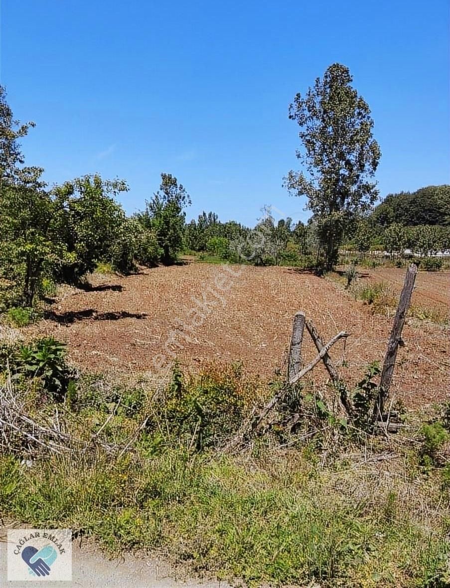 Kocaali Melen Satılık Bağ & Bahçe Gözde Yatırım Yeri Olan Karasu Kocaali Melende 1300m² Bahçe