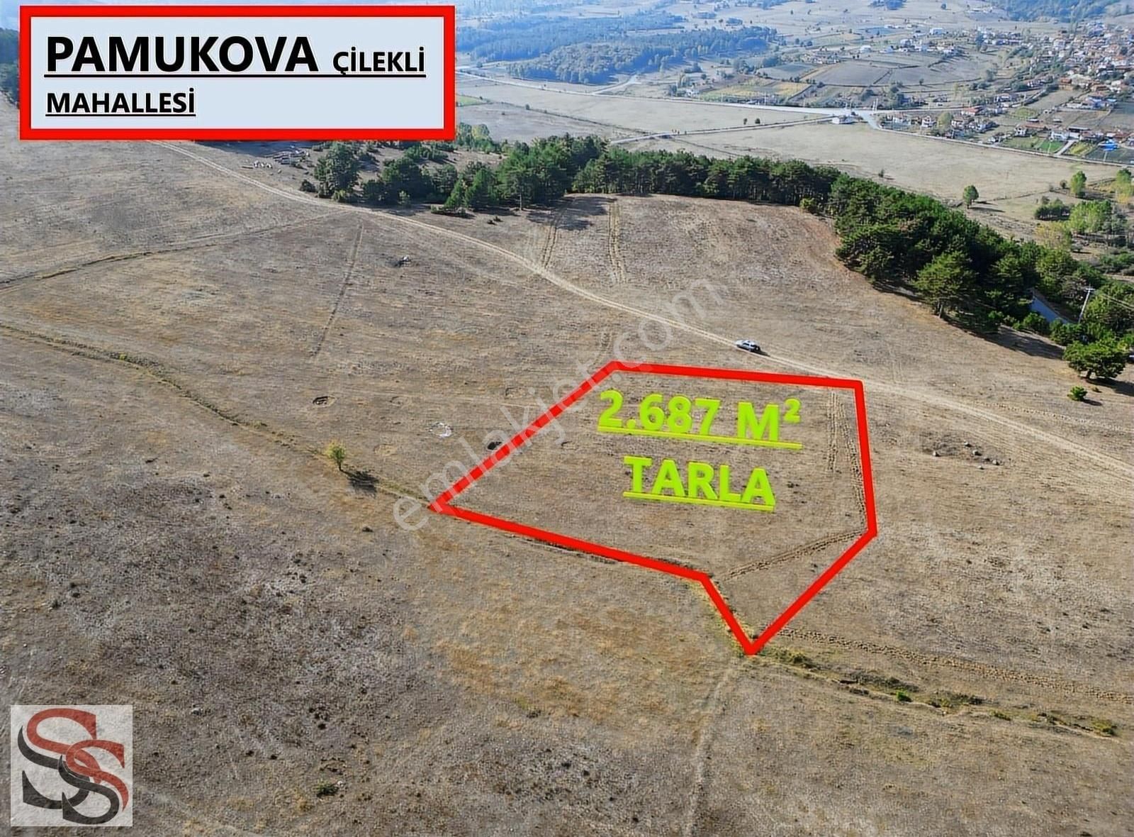 Pamukova Çilekli Satılık Tarla PAMUKOVA ÇİLEKLİ MAHALLESİ MUHTEŞEM KONUMDA 2.687 M² TARLA