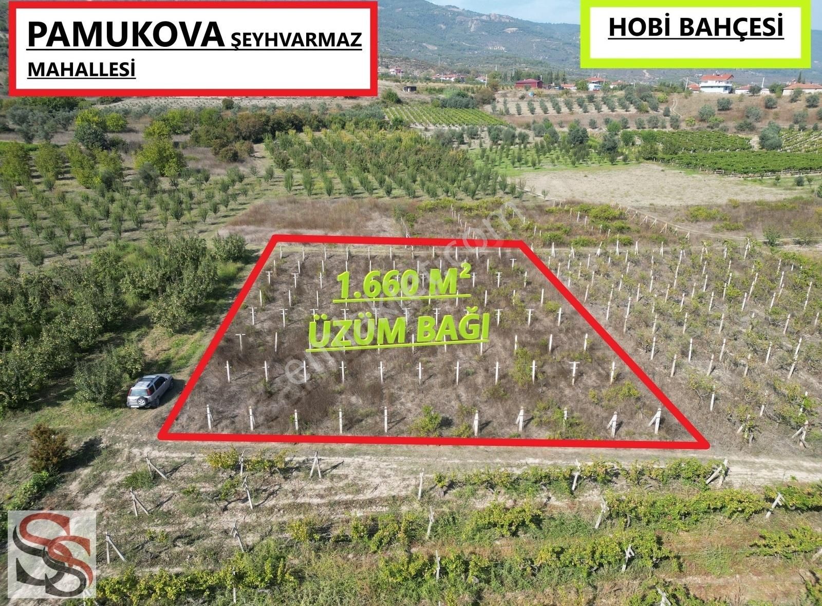 Pamukova Şeyhvarmaz Satılık Tarla PAMUKOVA ŞEYHVARMAZ MAH MUHTEŞEM KONUMDA 1.598 M² ÜZÜM BAĞI