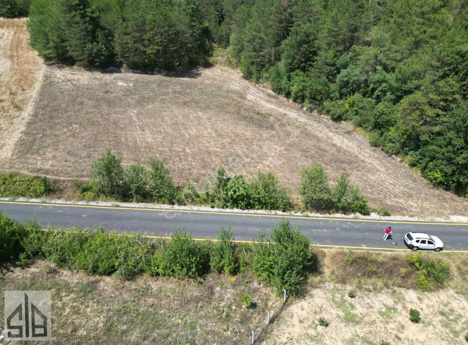 Geyve Ilıca Satılık Tarla BÜYÜKDEMİR GAYRİMENKULDEN 3.439m2 ASFALT CEPHELİ