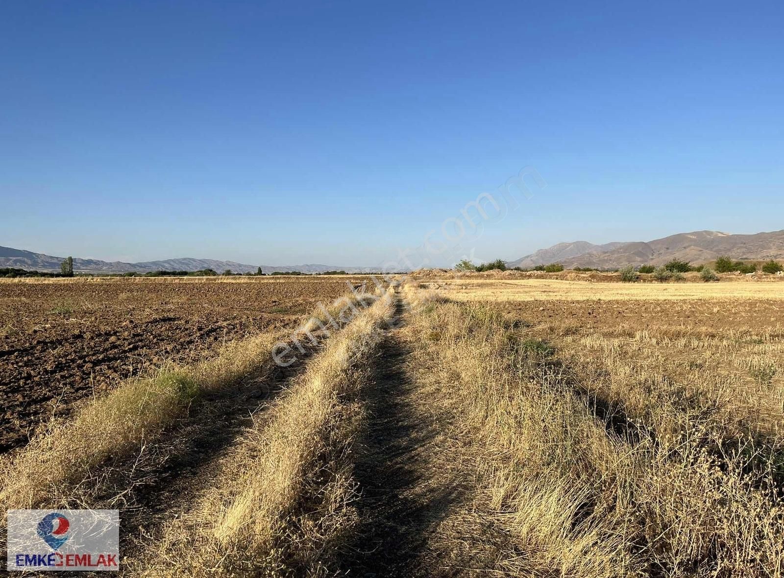 Elazığ Merkez Akçakiraz Bld. (Bahçekapı) Satılık Tarla ELAZIĞ MERKEZ ŞİNTİL(BAHÇEKAPI) KÖYÜNDE EMKEDEN SATILIK TARLA