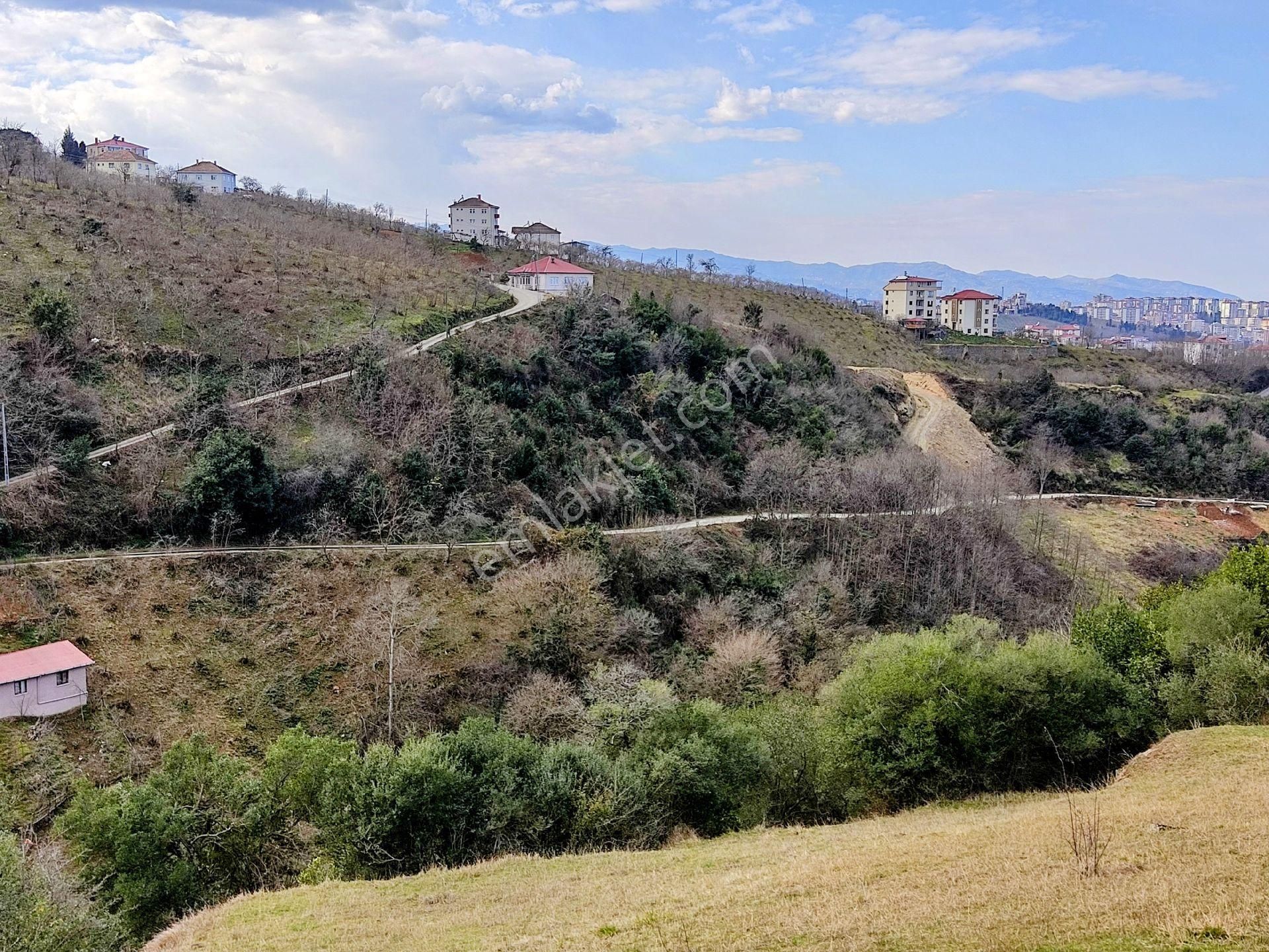 Ortahisar Bulak Satılık Bağ & Bahçe Trabzon Bulak köyü tarafında satılık 2 arsa 