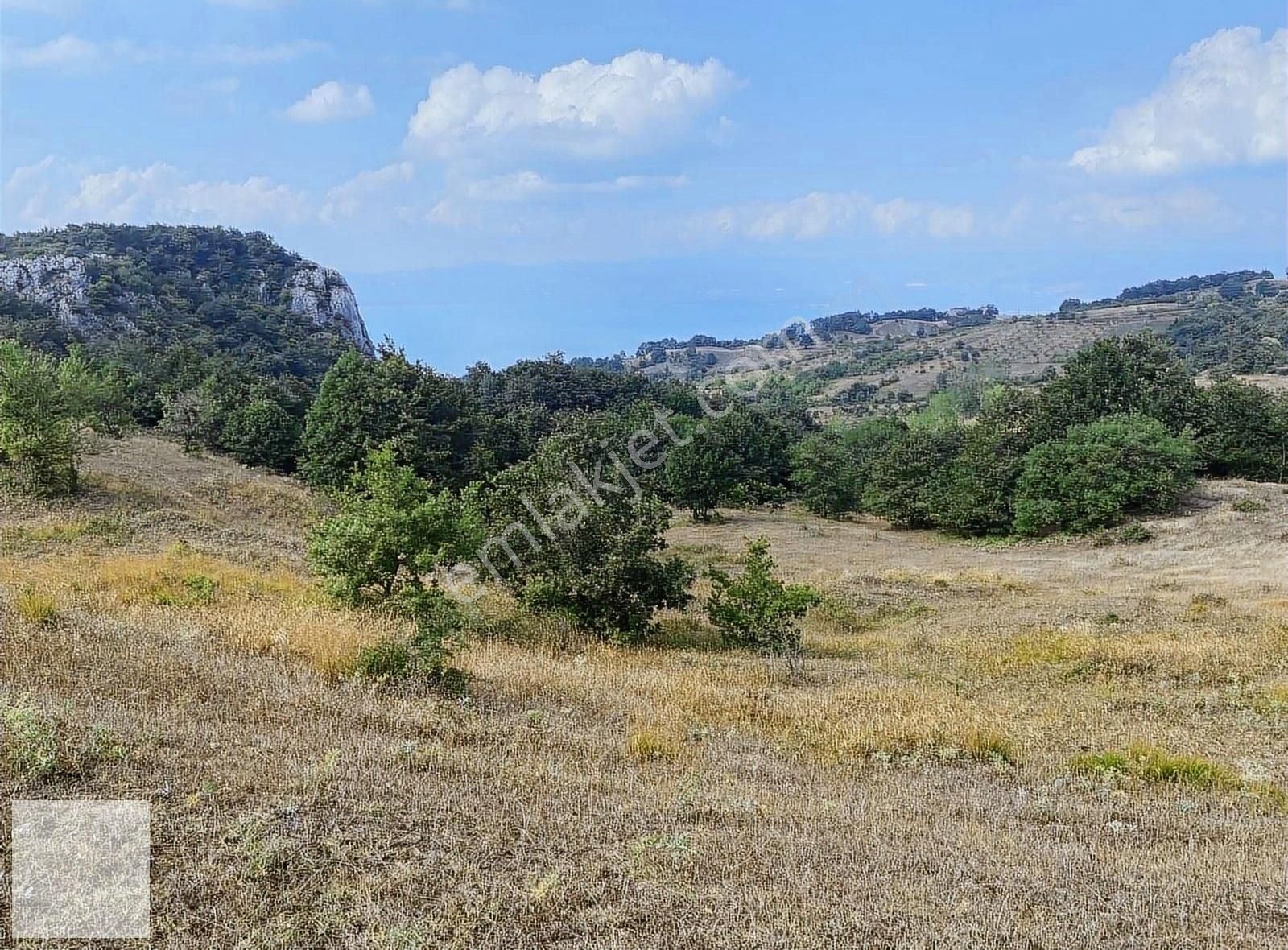 Yenişehir Kirazlıyayla Satılık Tarla Yenişehir Kirazlıyayla Da Göl Manzaralı Arazi