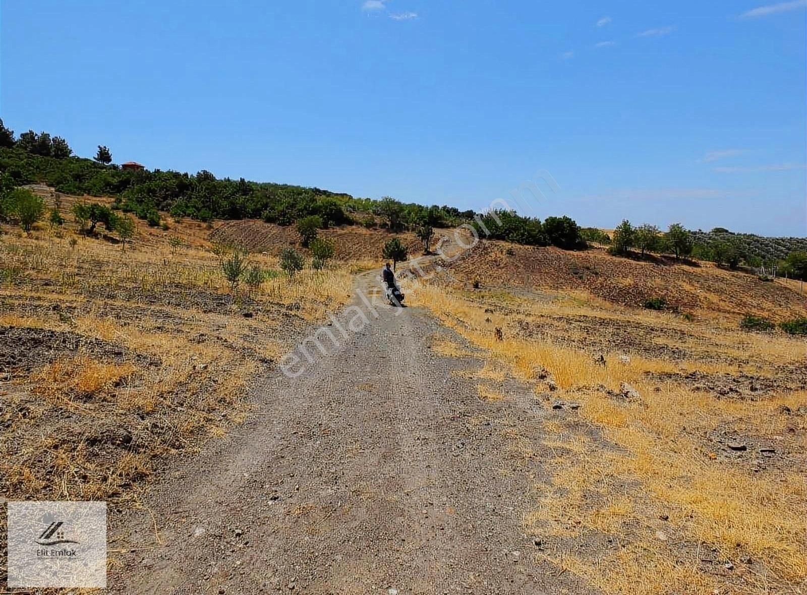 Akhisar Durasıl Satılık Tarla Mustafa Başyiğit Emlaktan Durasıl Mahallesin De 15233 M2