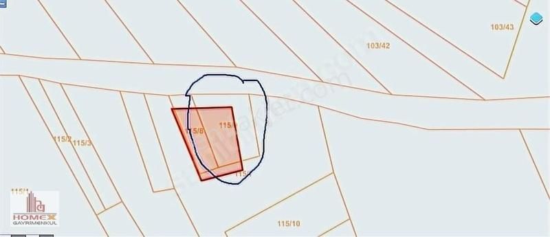 Gölpazarı Doğancılar Köyü Satılık Tarla Gölpazarı Çiftlikte Yol Cepheli Arsa