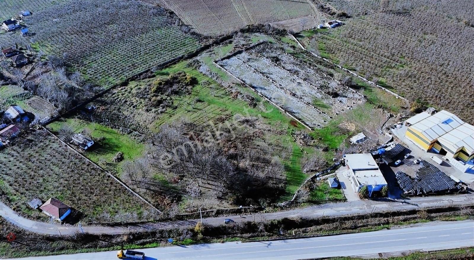 Hendek Çiftlik Satılık Sanayi İmarlı Emlakgruptan Satılık 36 Dönüm Sanayi Arsası