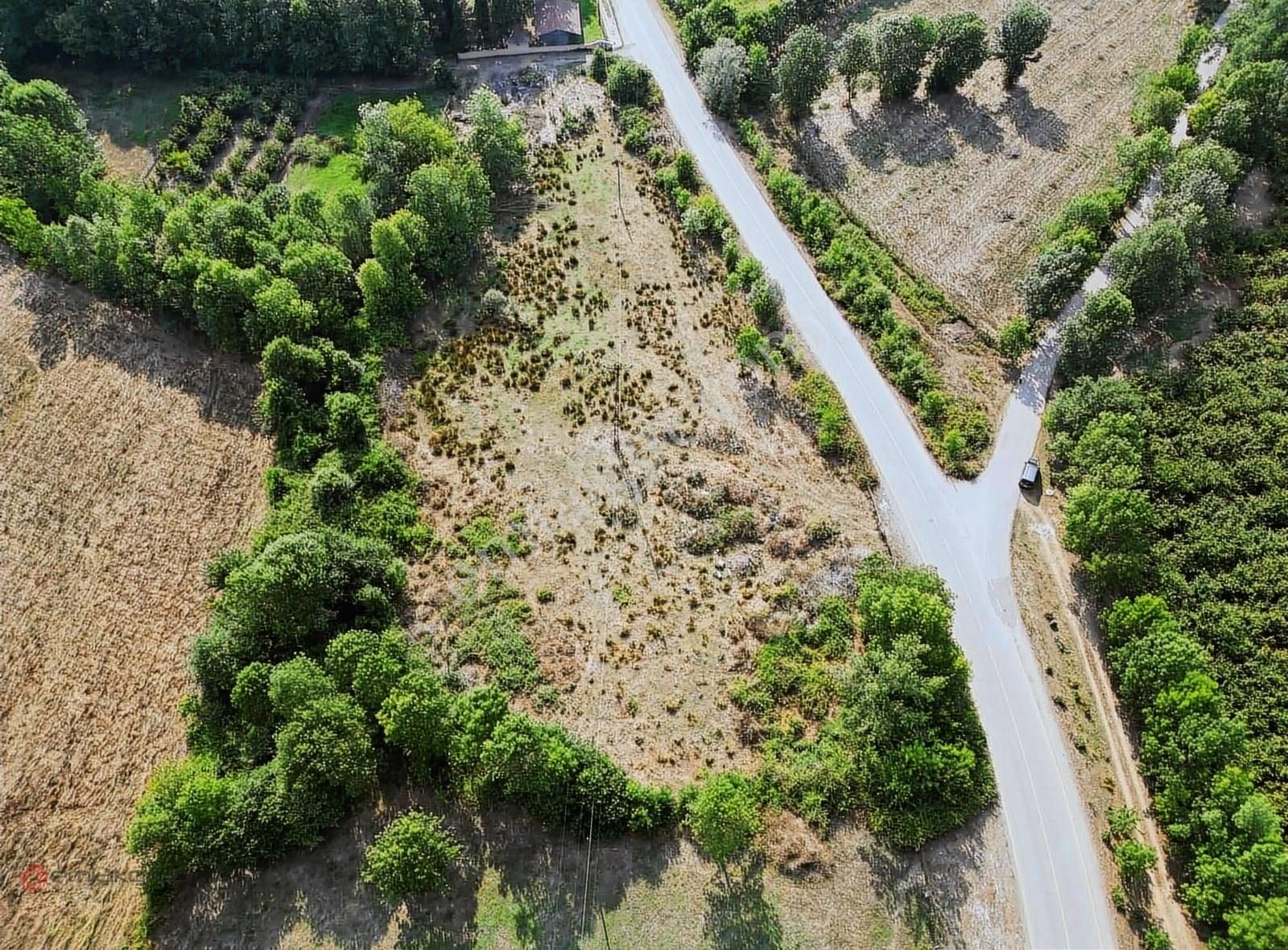 Hendek Yayalar Satılık Tarla Emlakgrup'tan Satılık Ana Yol Üzeri 3.800m2 Arsa