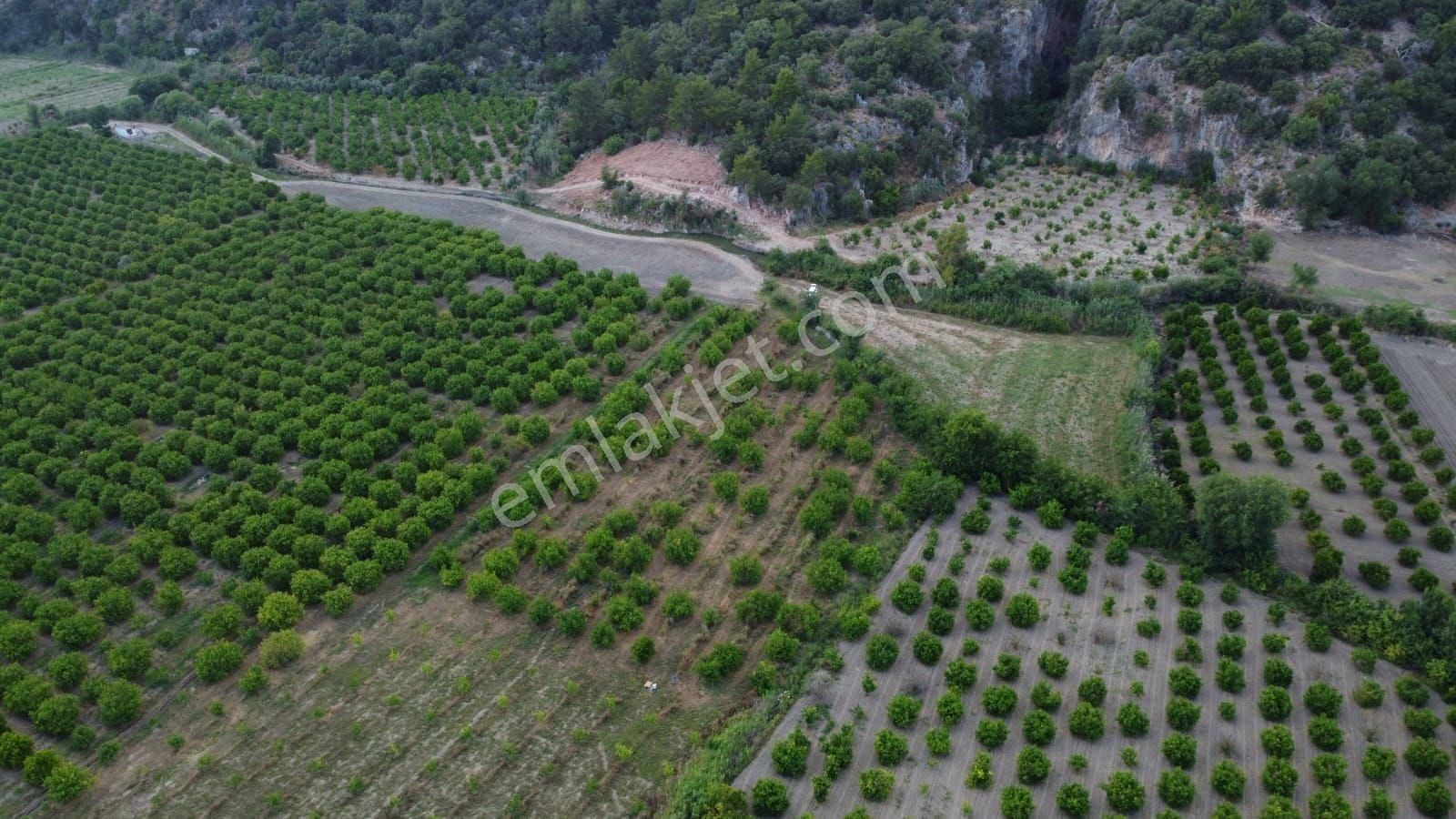 Ortaca Mergenli Satılık Bağ & Bahçe GHO'DAN MERGENLİ MAHALLESİNDE SATILIK 8500 m² TARLA