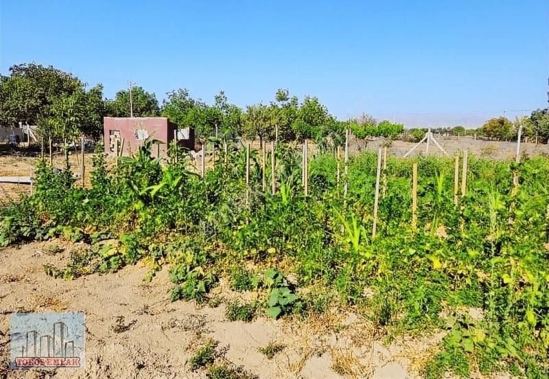 Bor Kemerhisar Bld. (Tepe) Satılık Tarla TOROS EMALK'TAN KEMERHİSAR TEPE 4155 M2 SATILIK BAHÇE