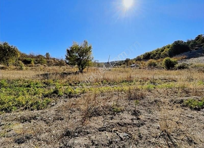 Keles Kıran Işıklar Satılık Bağ & Bahçe Bursa Keles De Ana Asfalta Cephe Su Dibinde Satılık Bahçe