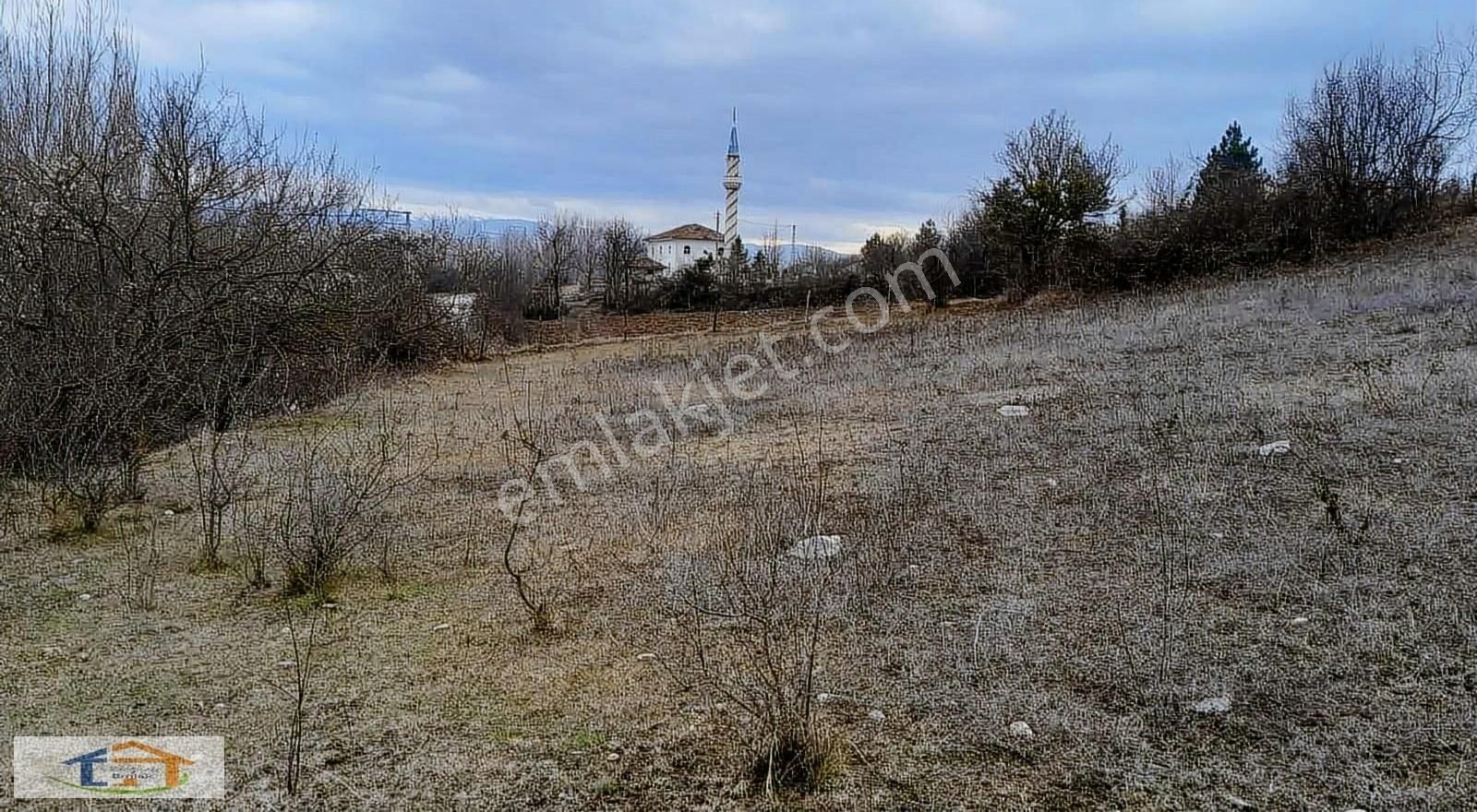 Kastamonu Merkez Köklü Köyü Satılık Tarla KASTAMONU MERKEZ KÖKLÜ KÖYÜNDE SATILIK TARLA