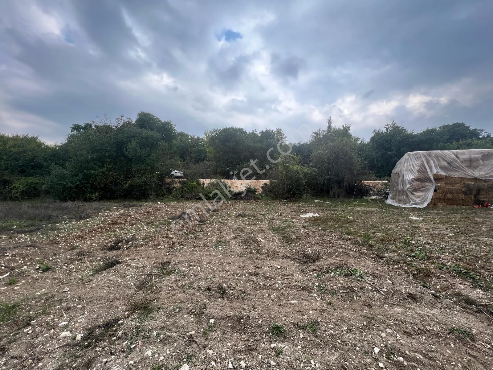 Bursa Yenişehir Gökçesu Mah. Köye Yakın Yolu Mevcut 558 M2 Satılık Tarla - Görsel 9