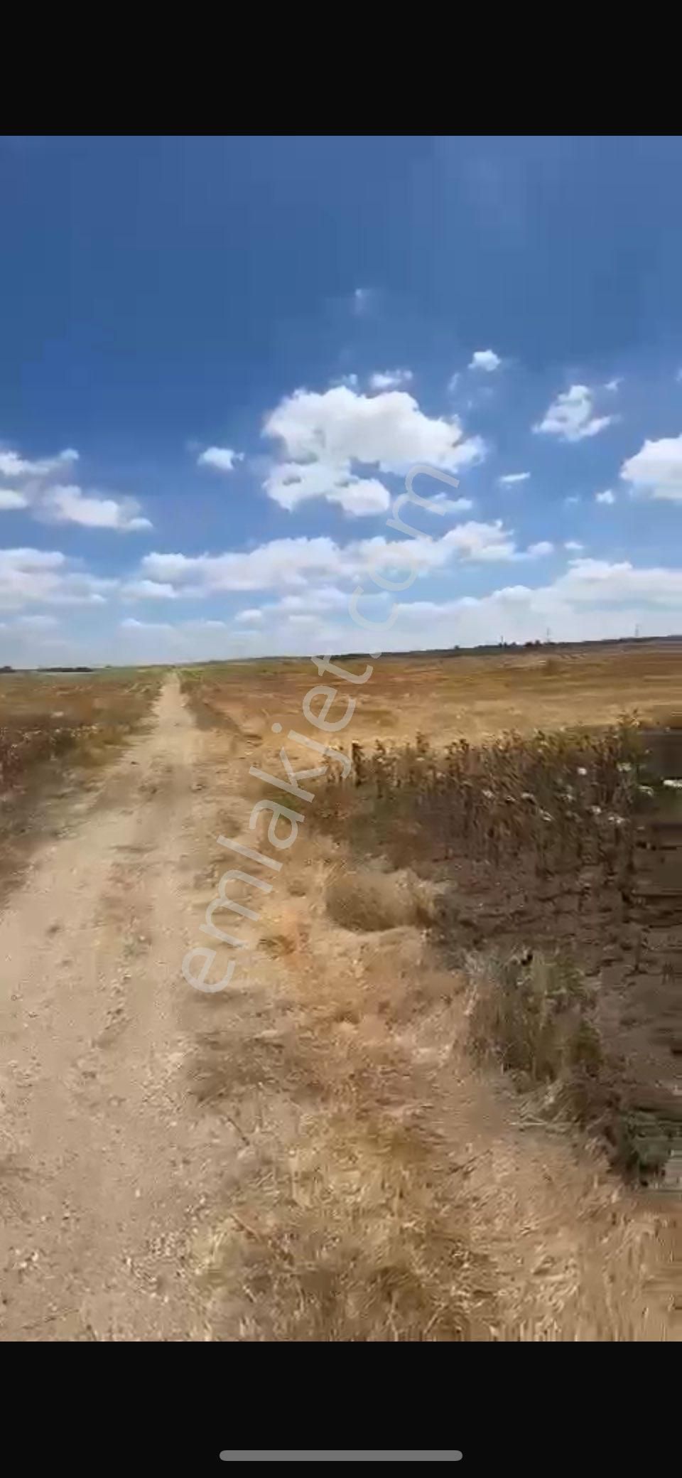 Uzunköprü Sipahi Köyü Satılık Tarla Tek Tapu Müstakil