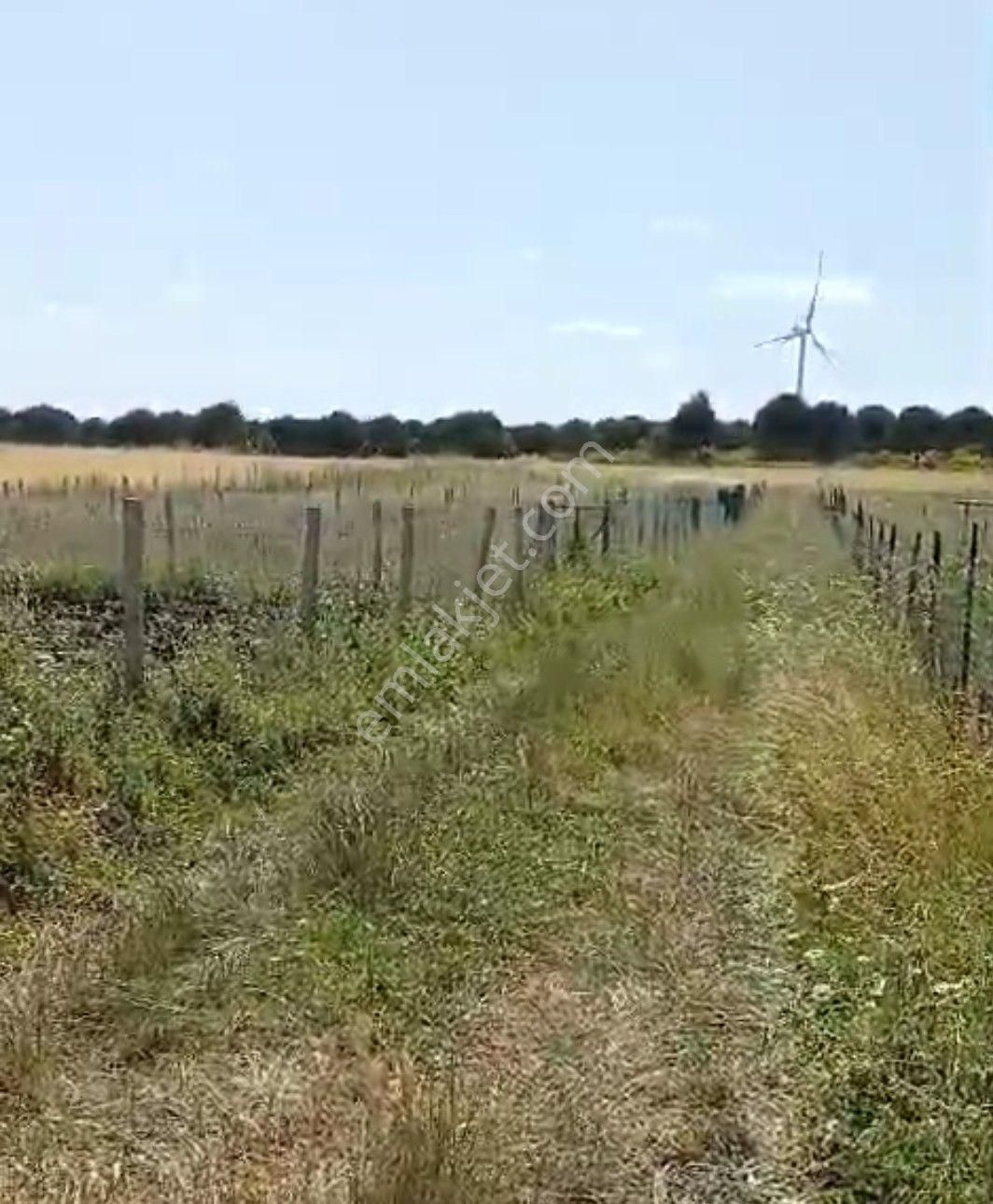 Çatalca Gökçeali Satılık Tarla Çatalca Gökçeali 1250m² Köye Yakın Satılık Arazı