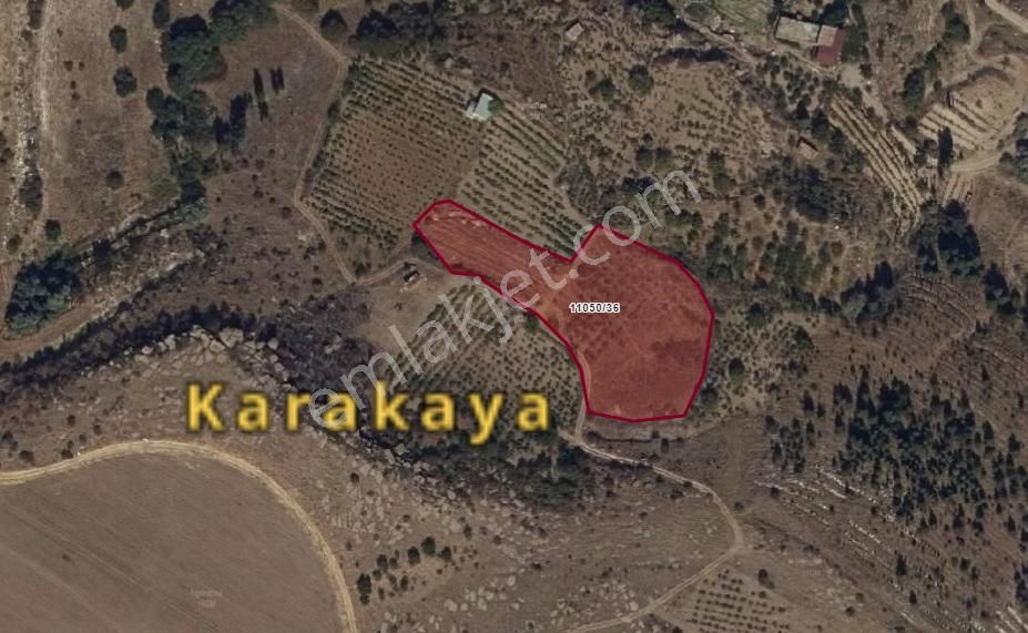 Kocasinan Boğazköprü Satılık Bağ & Bahçe  BOĞAZ KÖPRÜ DE 5.500 M2 ÜZÜM BAĞI VE KAYSERİ MANZARASI