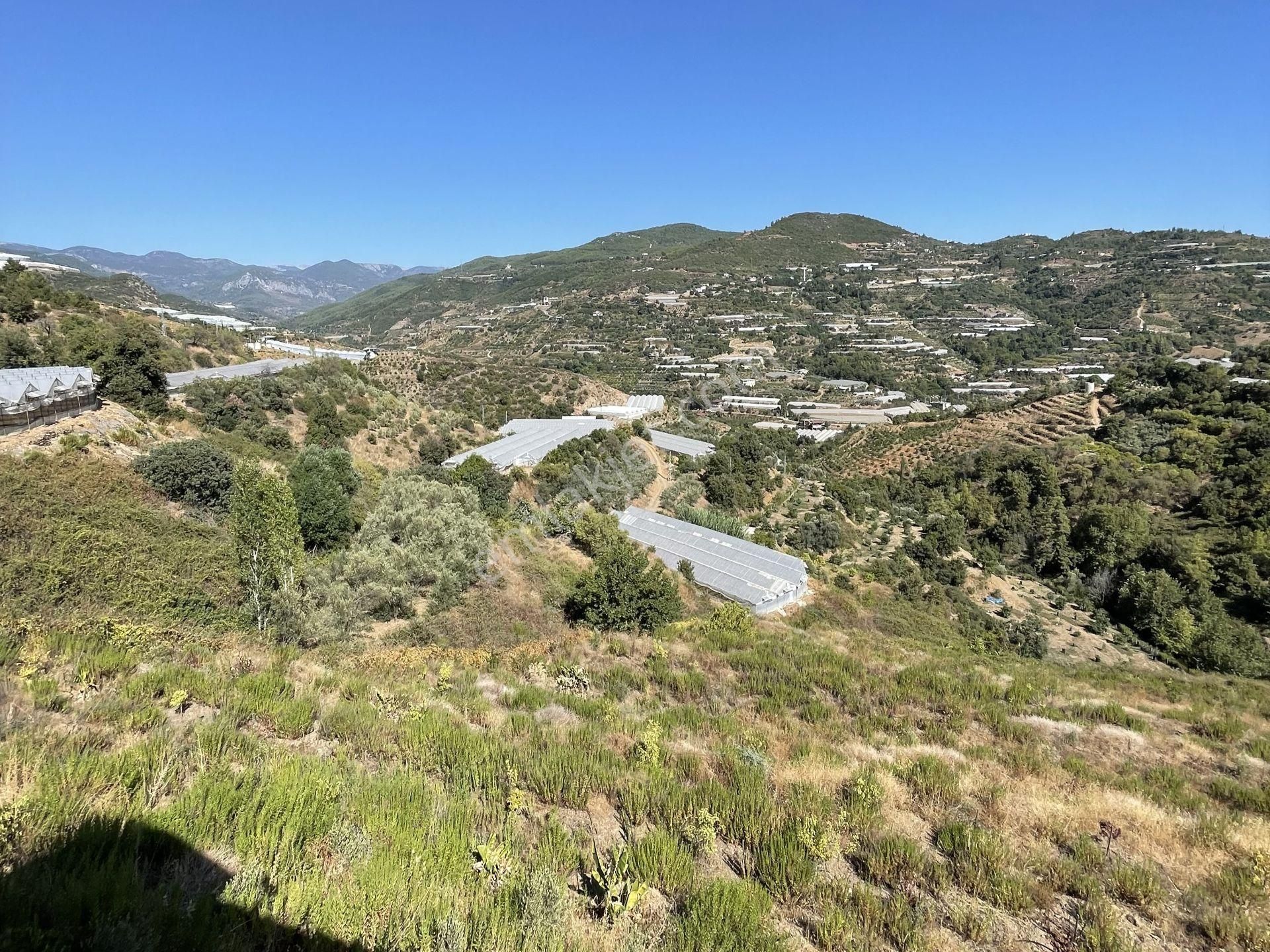 Alanya Gözübüyükde Satılık 11.203 M2 Yatırımlık Müstakil Arsa - Görsel 10