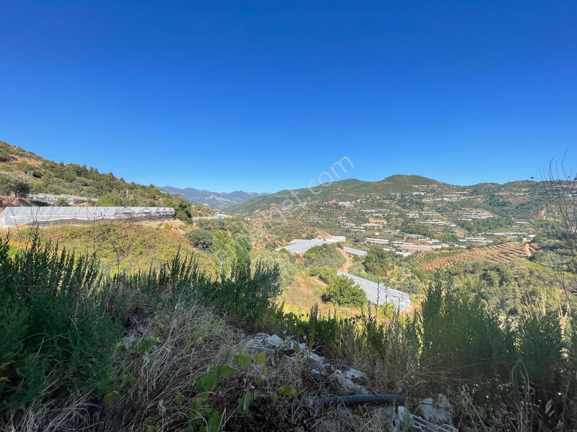 Alanya Gözübüyükde Satılık 11.203 M2 Yatırımlık Müstakil Arsa - Görsel 19