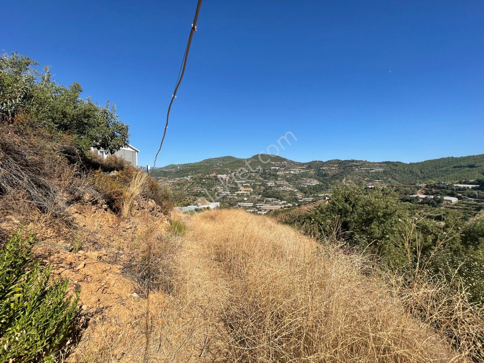Alanya Gözübüyükde Satılık 11.203 M2 Yatırımlık Müstakil Arsa - Görsel 27