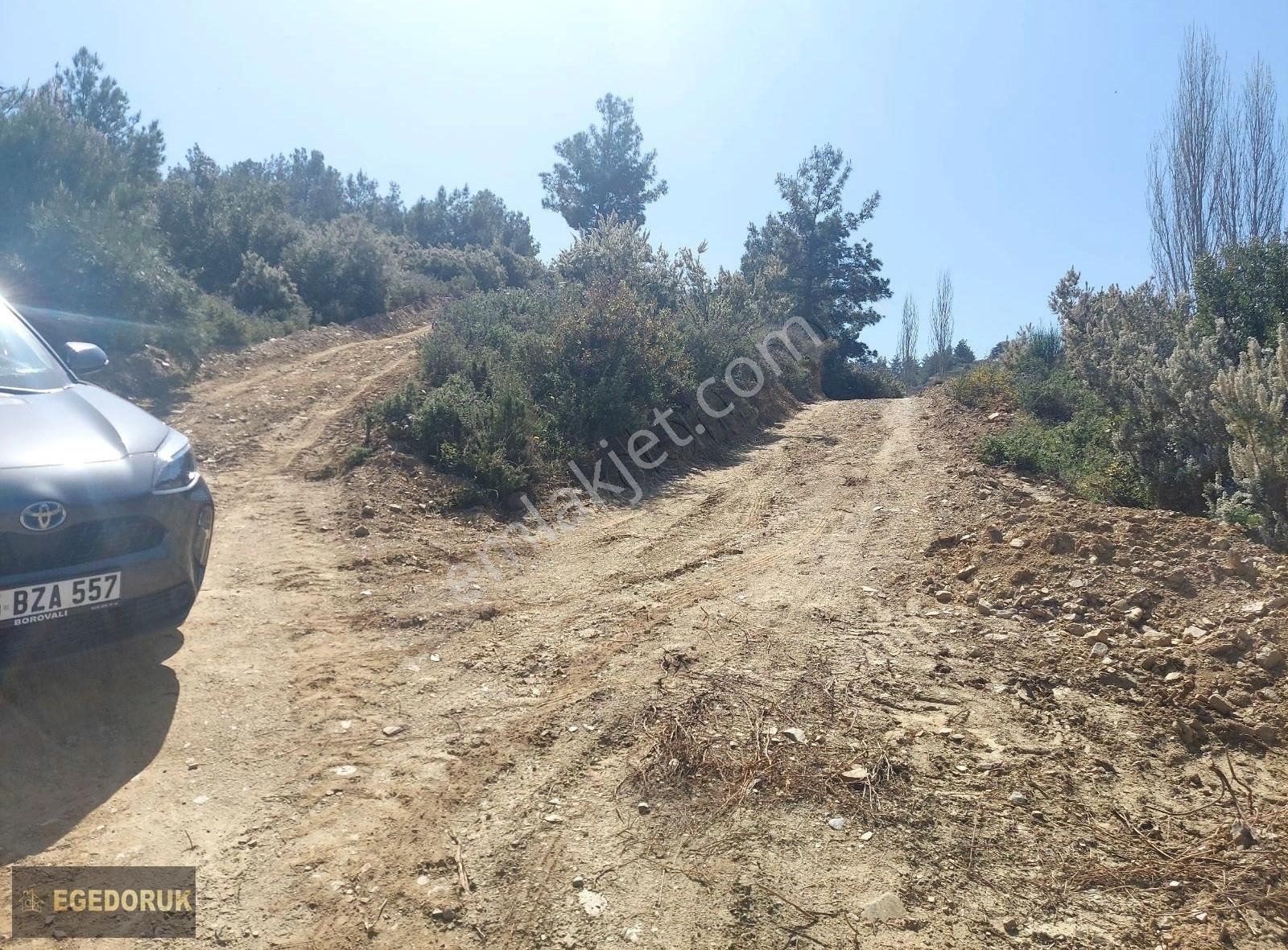 Kemalpaşa Armutlu Üstünde Vadideki Zeytinli Bağ - Görsel 3