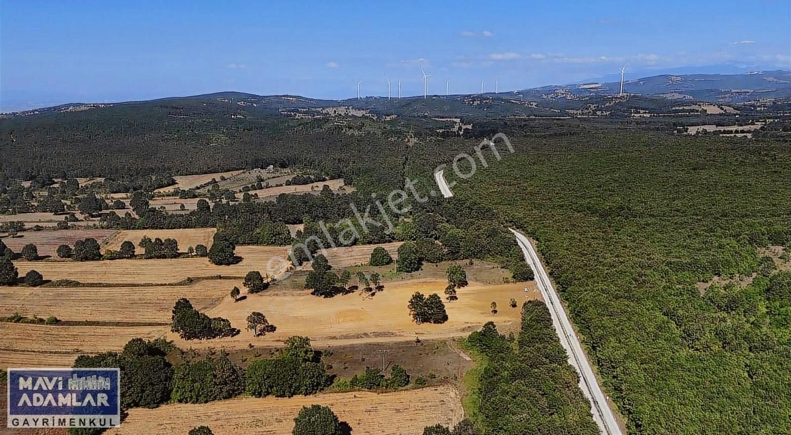 Mustafakemalpaşa Kazanpınar Satılık Tarla BURSA-KEMALPAŞA ASFALTINA CEPHE EMSALSİZ KUPON ARAZİ