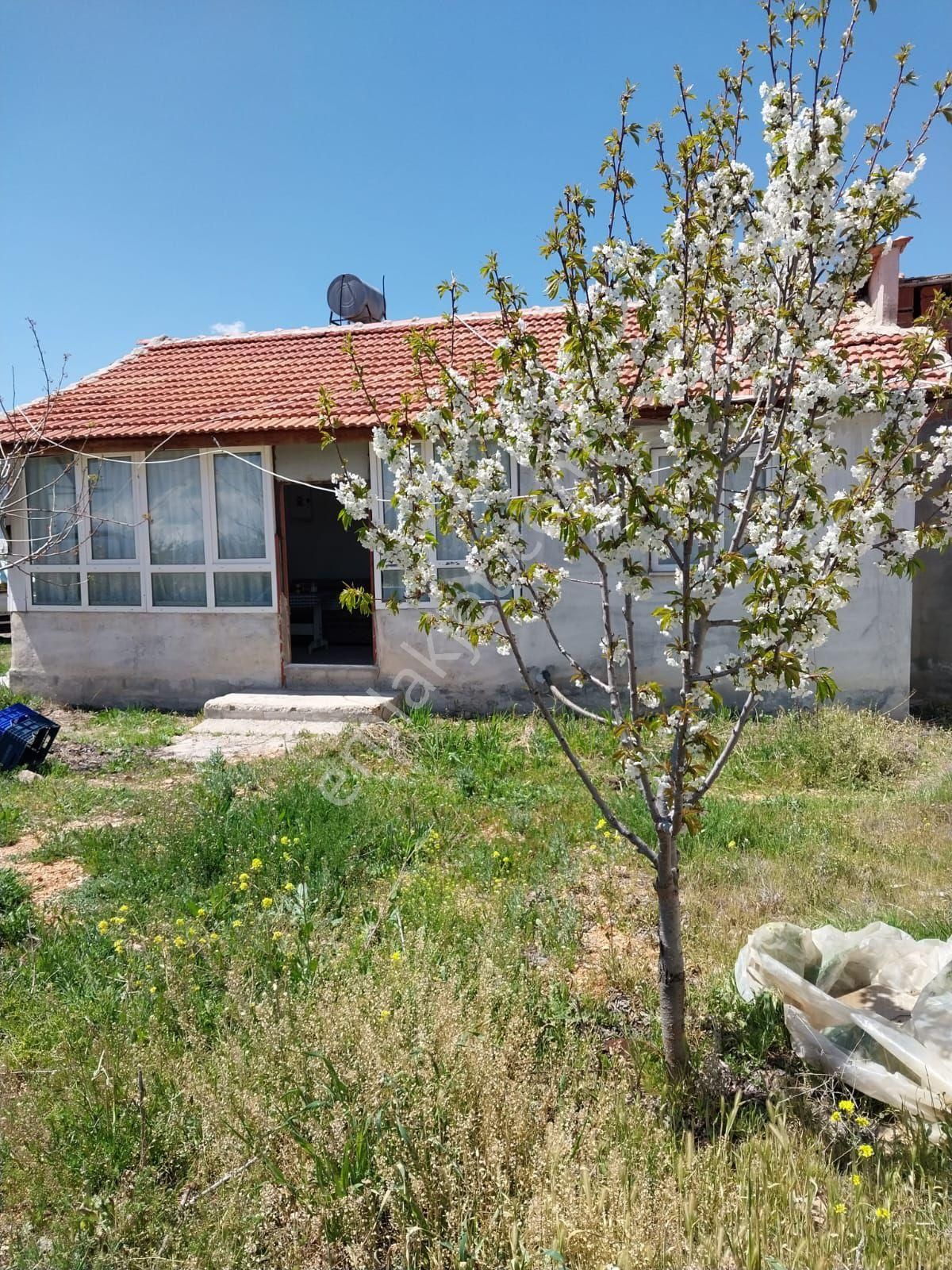 Elmalı Eymir Satılık Tarla Eymir Kumkuyu EV+SERA bölgesi yola sıfır sahibinden