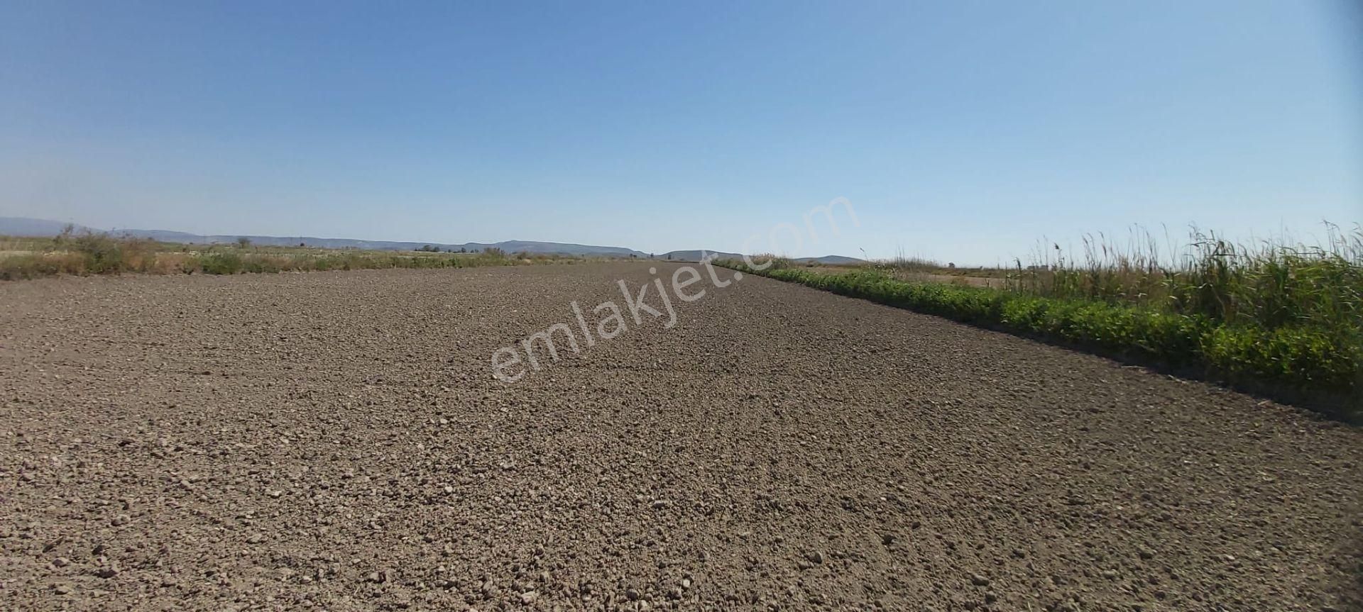 Söke Mimarsan Emlak, Aydın Söke Doğanbey'de Satılık Tarla - Görsel 23