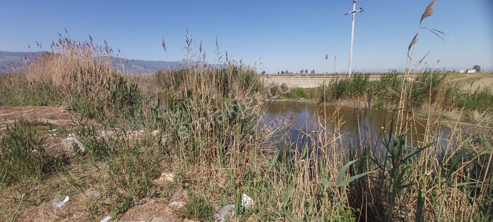 Söke Mimarsan Emlak, Aydın Söke Doğanbey'de Satılık Tarla - Görsel 10
