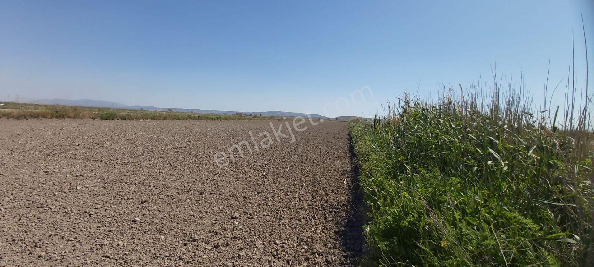 Söke Mimarsan Emlak, Aydın Söke Doğanbey'de Satılık Tarla - Görsel 22