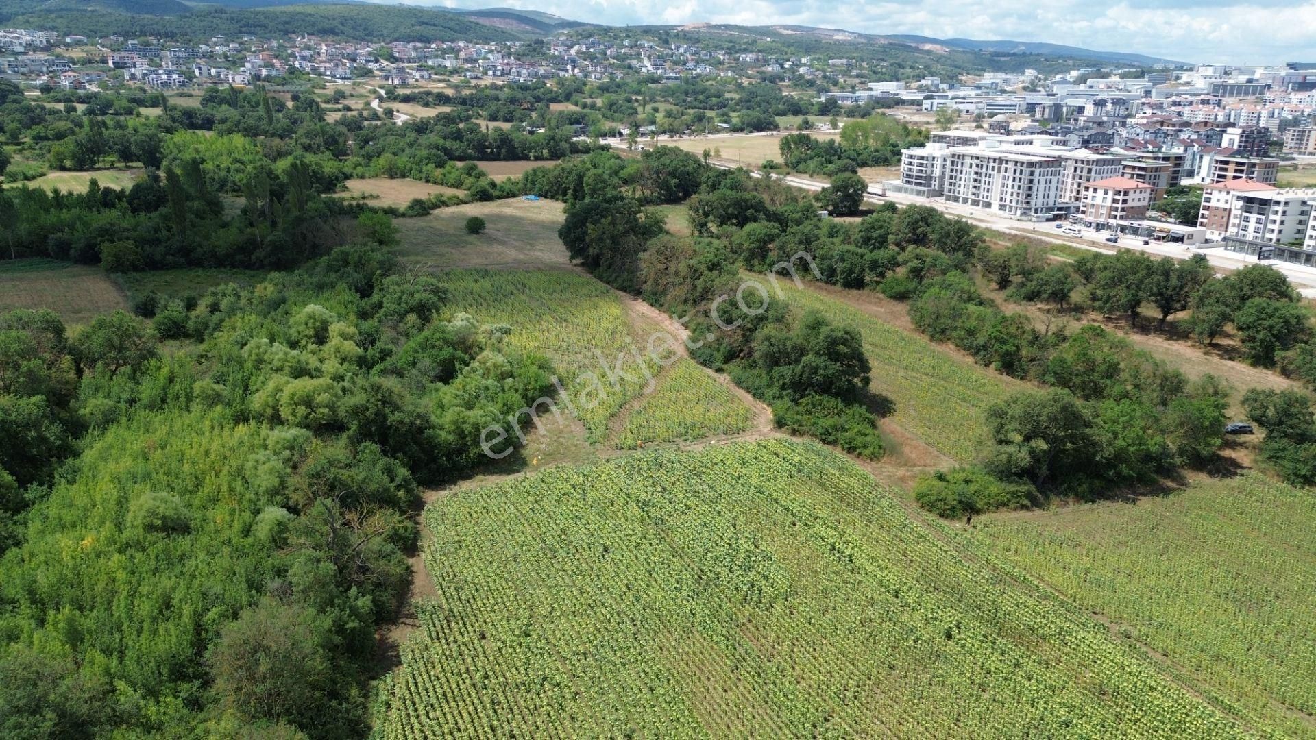 Akbey Gayrimenkul'den Hobi Ve Yatırım Amaçlı Harika Konumda Tarla - Görsel 16
