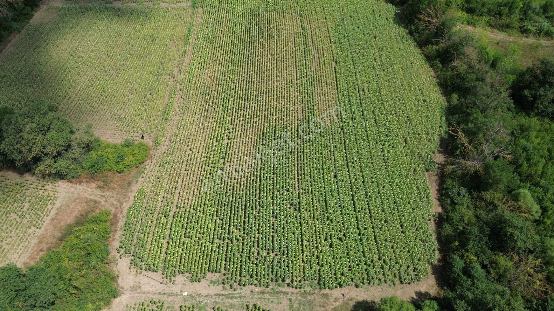 Akbey Gayrimenkul'den Hobi Ve Yatırım Amaçlı Harika Konumda Tarla - Görsel 14