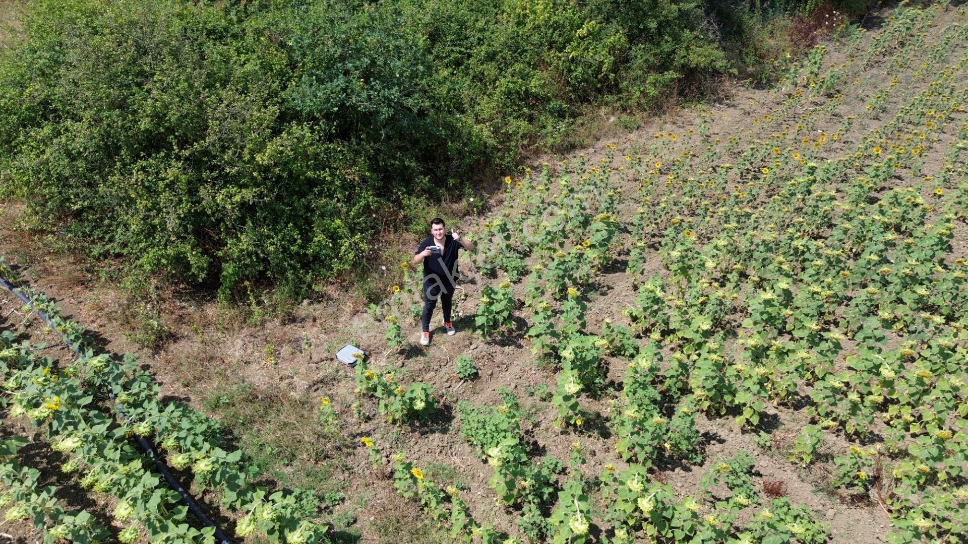 Akbey Gayrimenkul'den Hobi Ve Yatırım Amaçlı Harika Konumda Tarla - Görsel 17