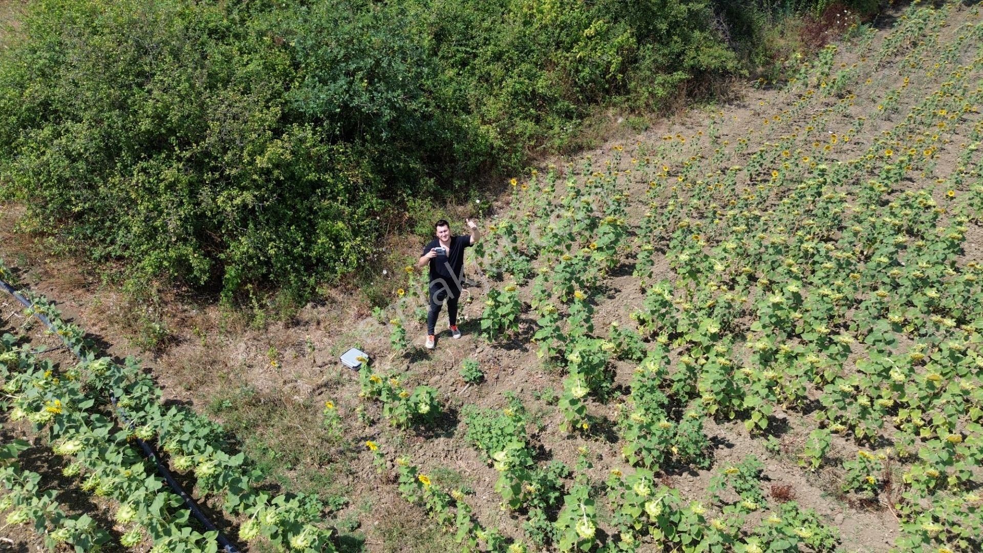 Akbey Gayrimenkul'den Hobi Ve Yatırım Amaçlı Harika Konumda Tarla - Görsel 22