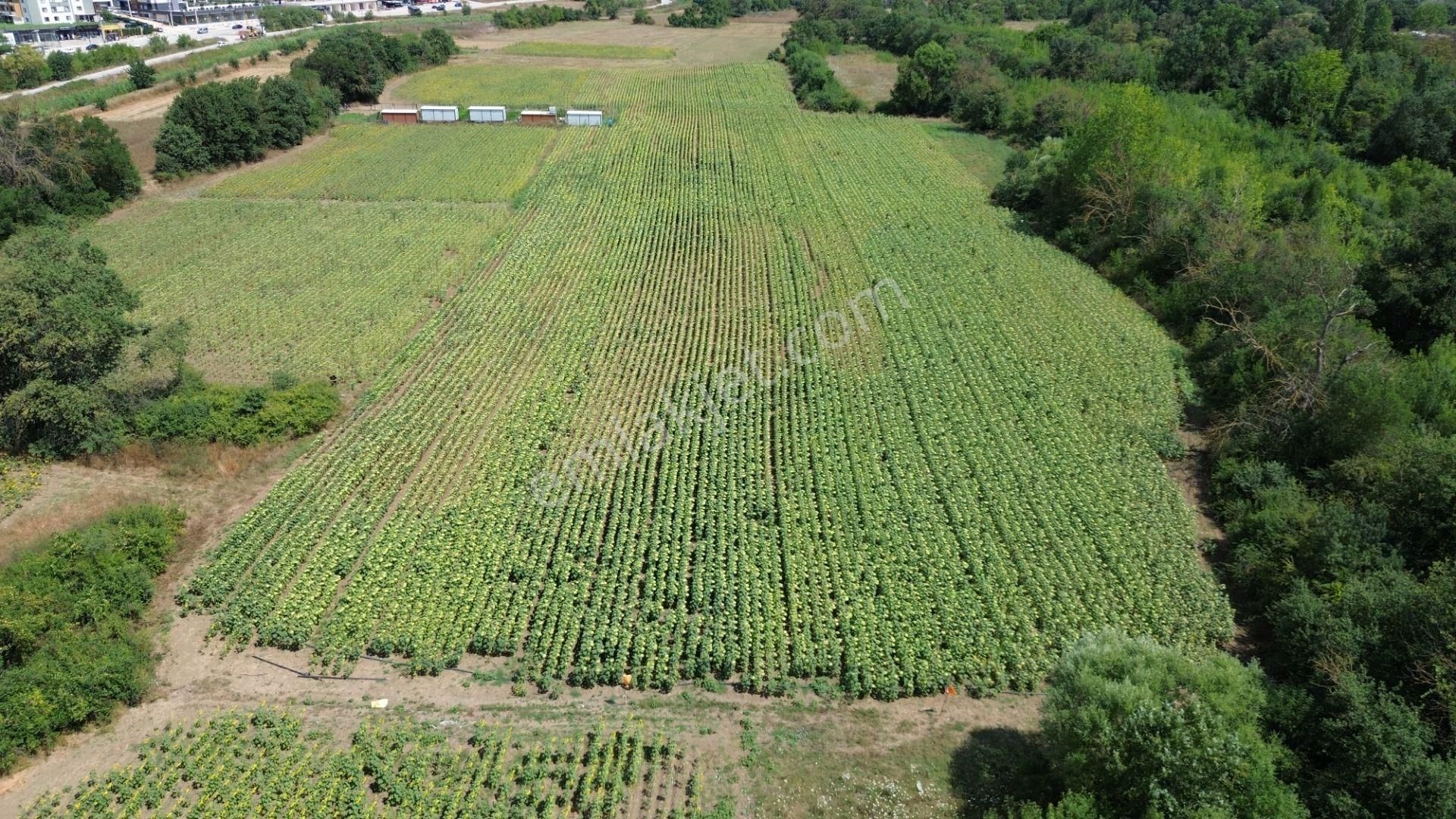 Akbey Gayrimenkul'den Hobi Ve Yatırım Amaçlı Harika Konumda Tarla - Görsel 6