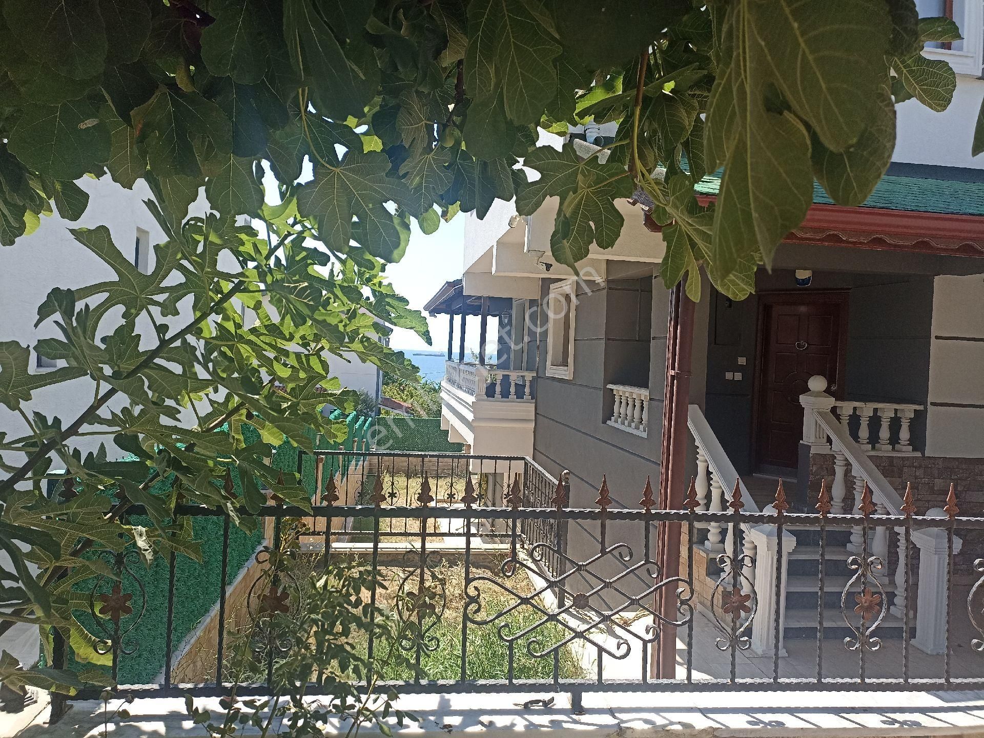 İstanbul İli Silivri İlçesi Gümüşyaka Mahallesi'nde - Görsel 3