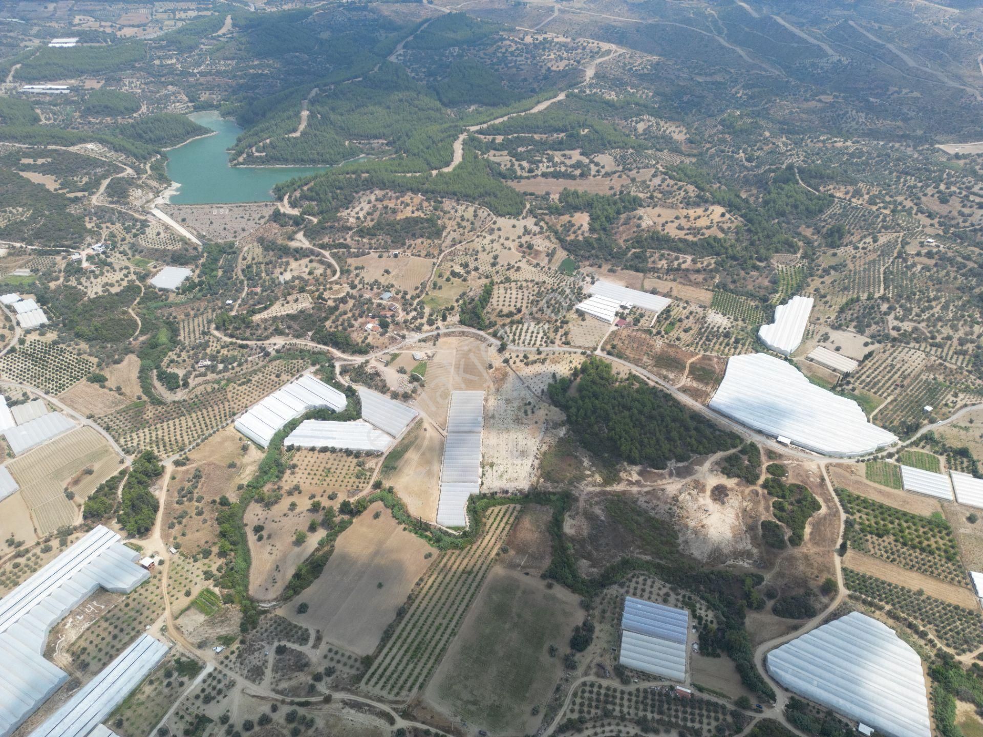 Sahibinden Müstakil Tapulu 8054 Mt2 Yol Ve Suyu Olan Tarla - Görsel 8