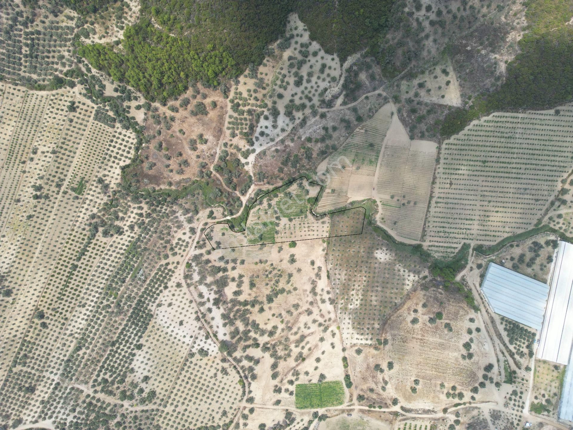 Sahibinden Müstakil Tapulu 8054 Mt2 Yol Ve Suyu Olan Tarla - Görsel 6