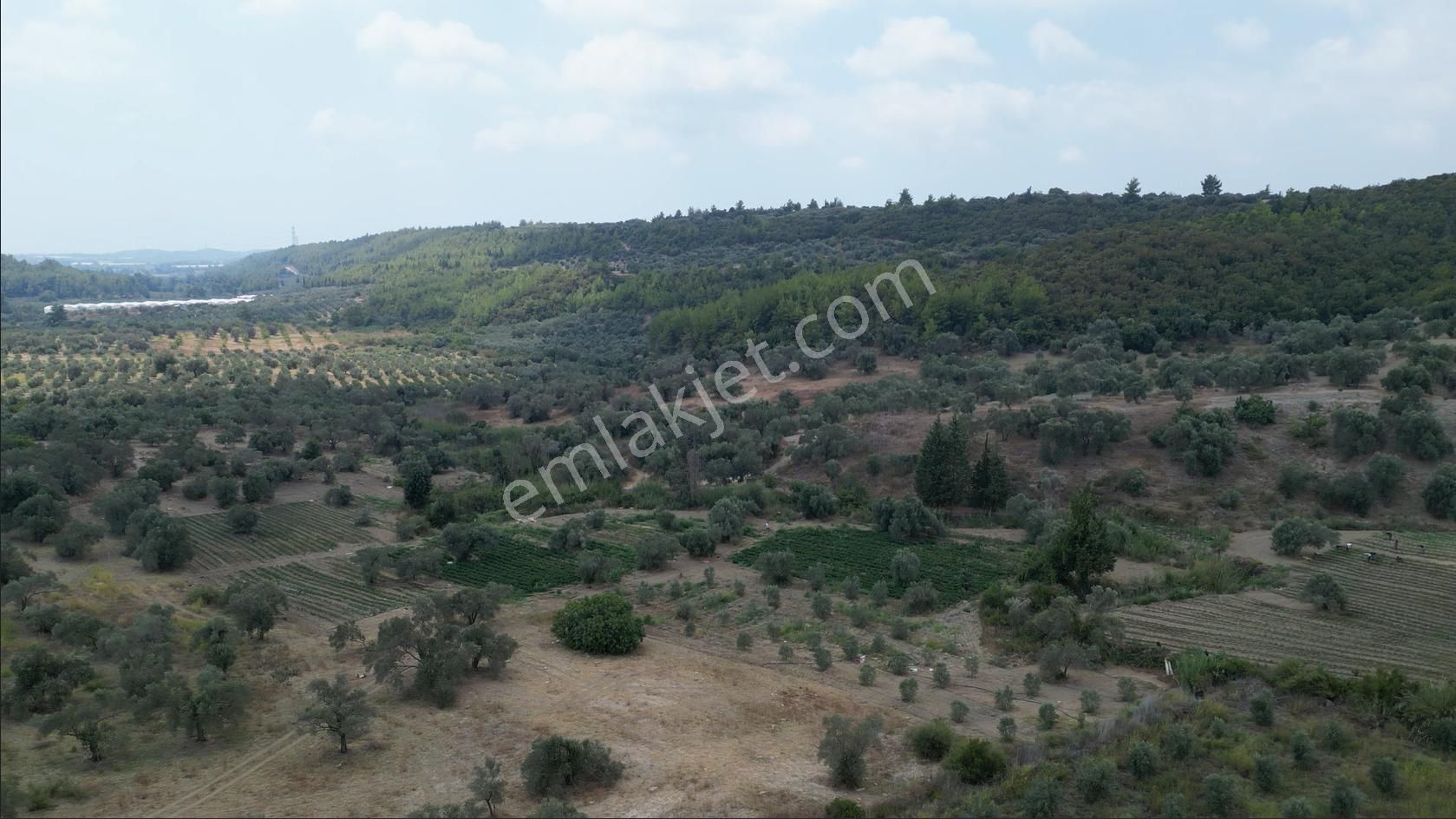 Sahibinden Müstakil Tapulu 8054 Mt2 Yol Ve Suyu Olan Tarla - Görsel 16