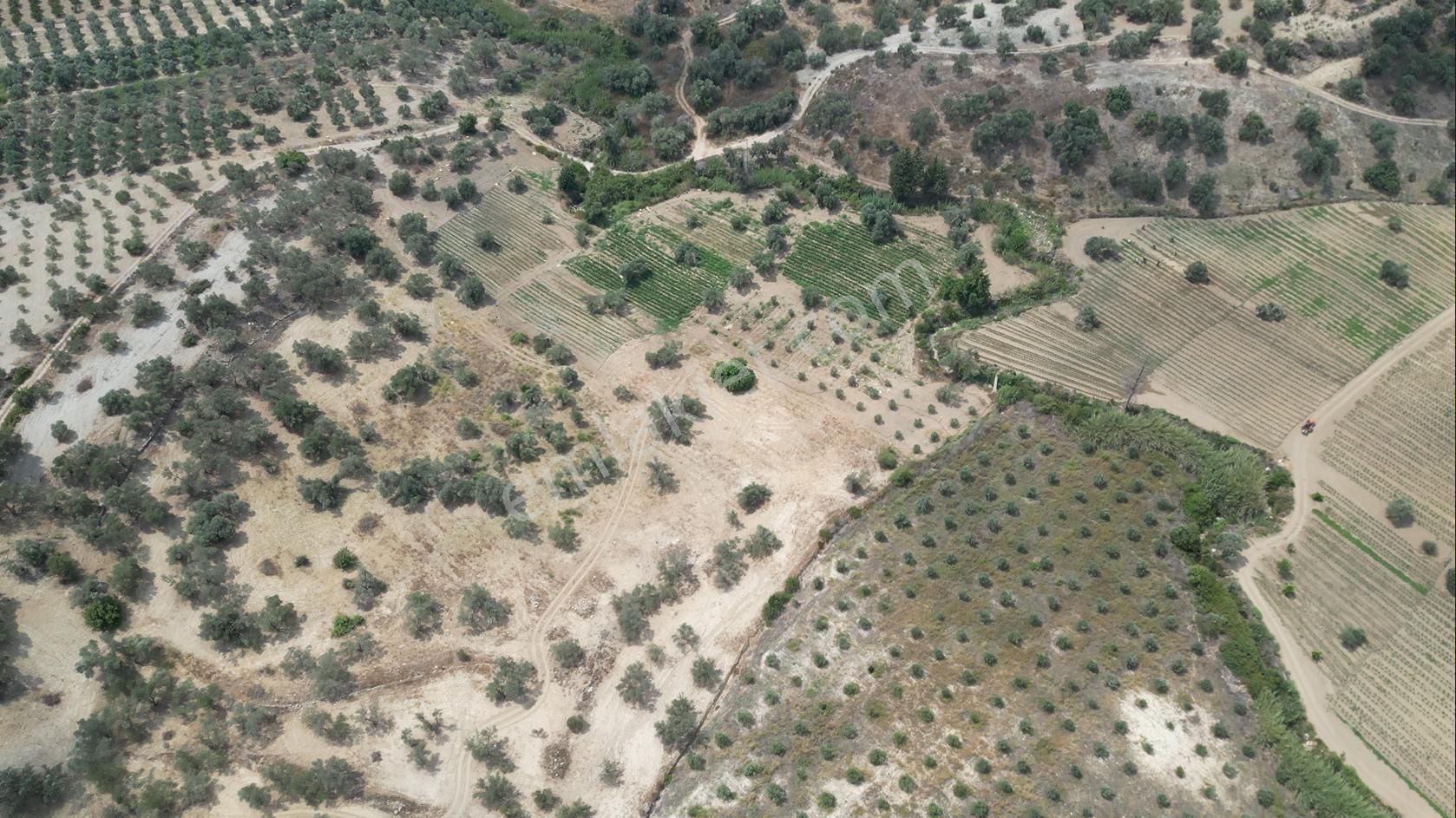 Sahibinden Müstakil Tapulu 8054 Mt2 Yol Ve Suyu Olan Tarla - Görsel 4