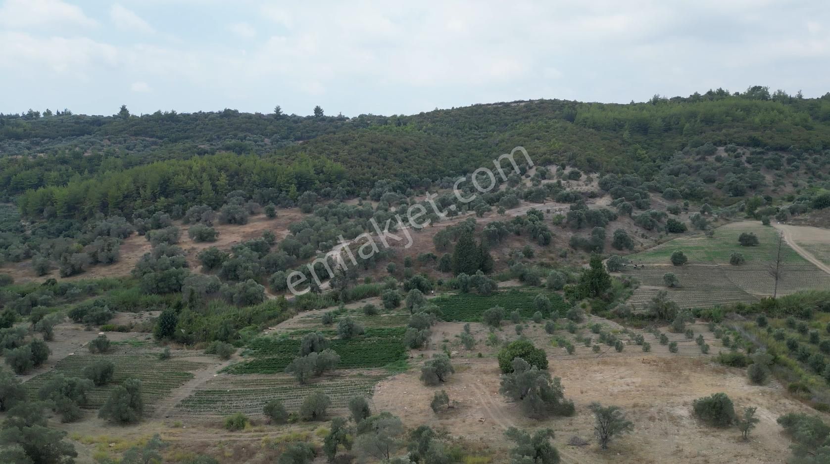 Sahibinden Müstakil Tapulu 8054 Mt2 Yol Ve Suyu Olan Tarla - Görsel 15