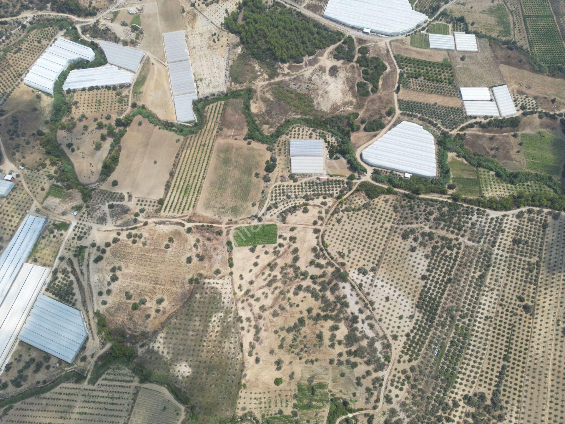 Sahibinden Müstakil Tapulu 8054 Mt2 Yol Ve Suyu Olan Tarla - Görsel 7