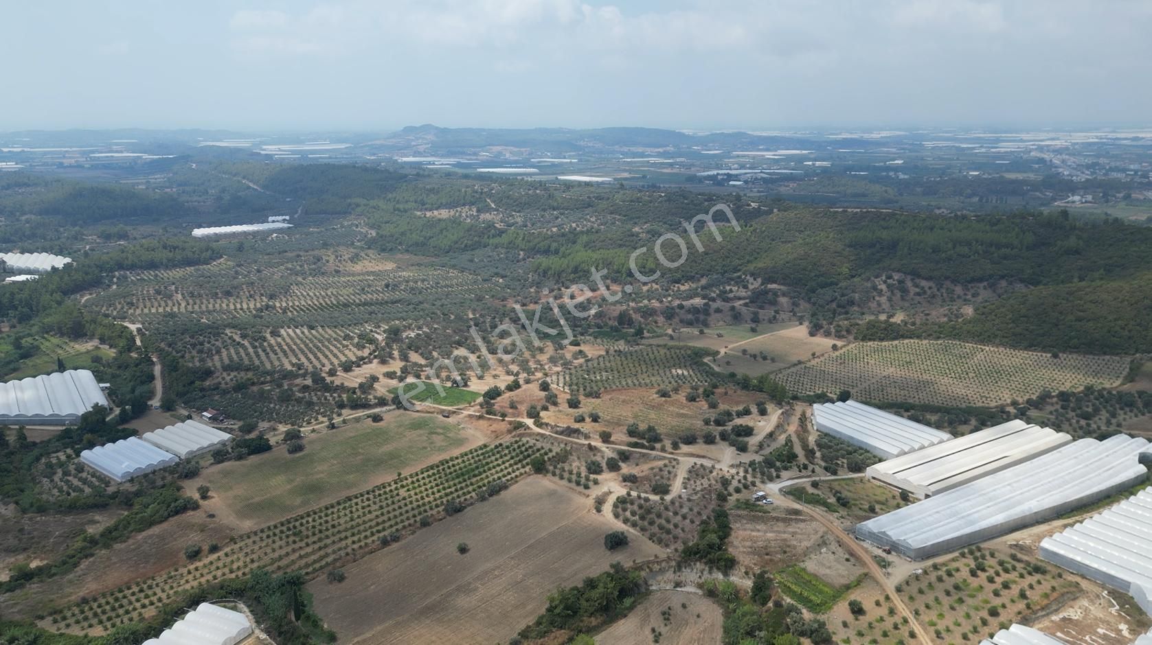 Sahibinden Müstakil Tapulu 8054 Mt2 Yol Ve Suyu Olan Tarla - Görsel 14