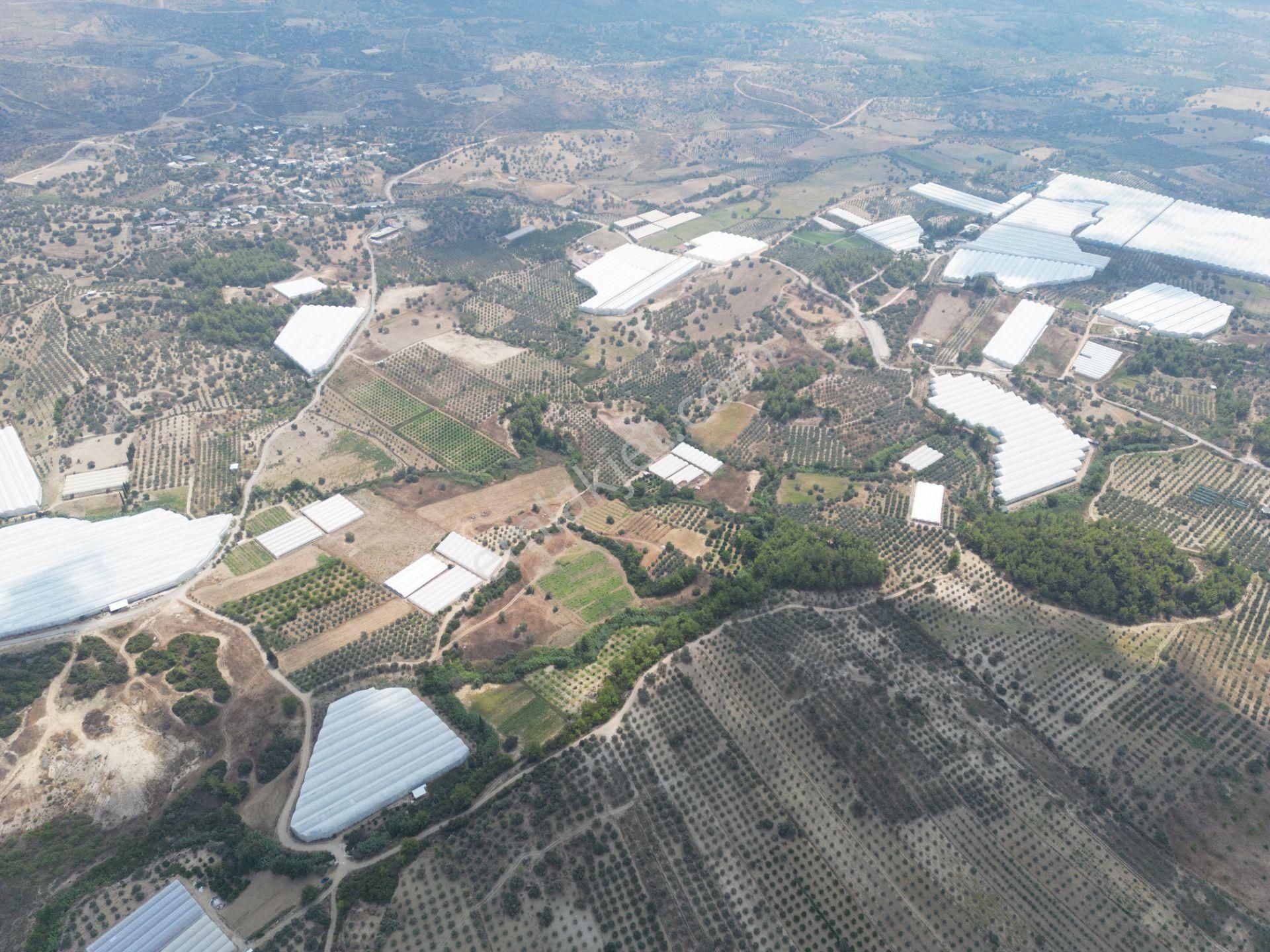 Sahibinden Müstakil Tapulu 8054 Mt2 Yol Ve Suyu Olan Tarla - Görsel 9