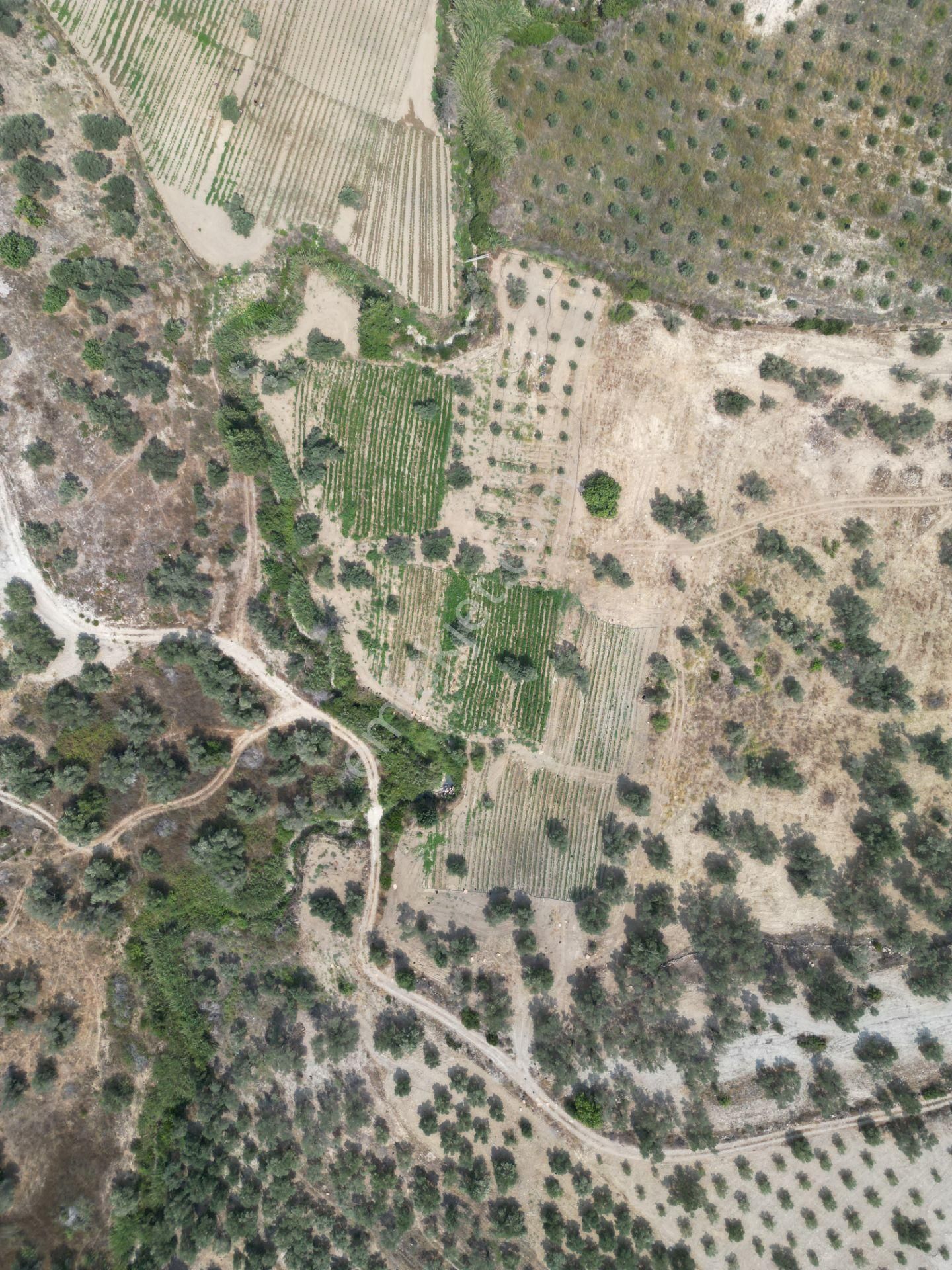 Sahibinden Müstakil Tapulu 8054 Mt2 Yol Ve Suyu Olan Tarla - Görsel 5