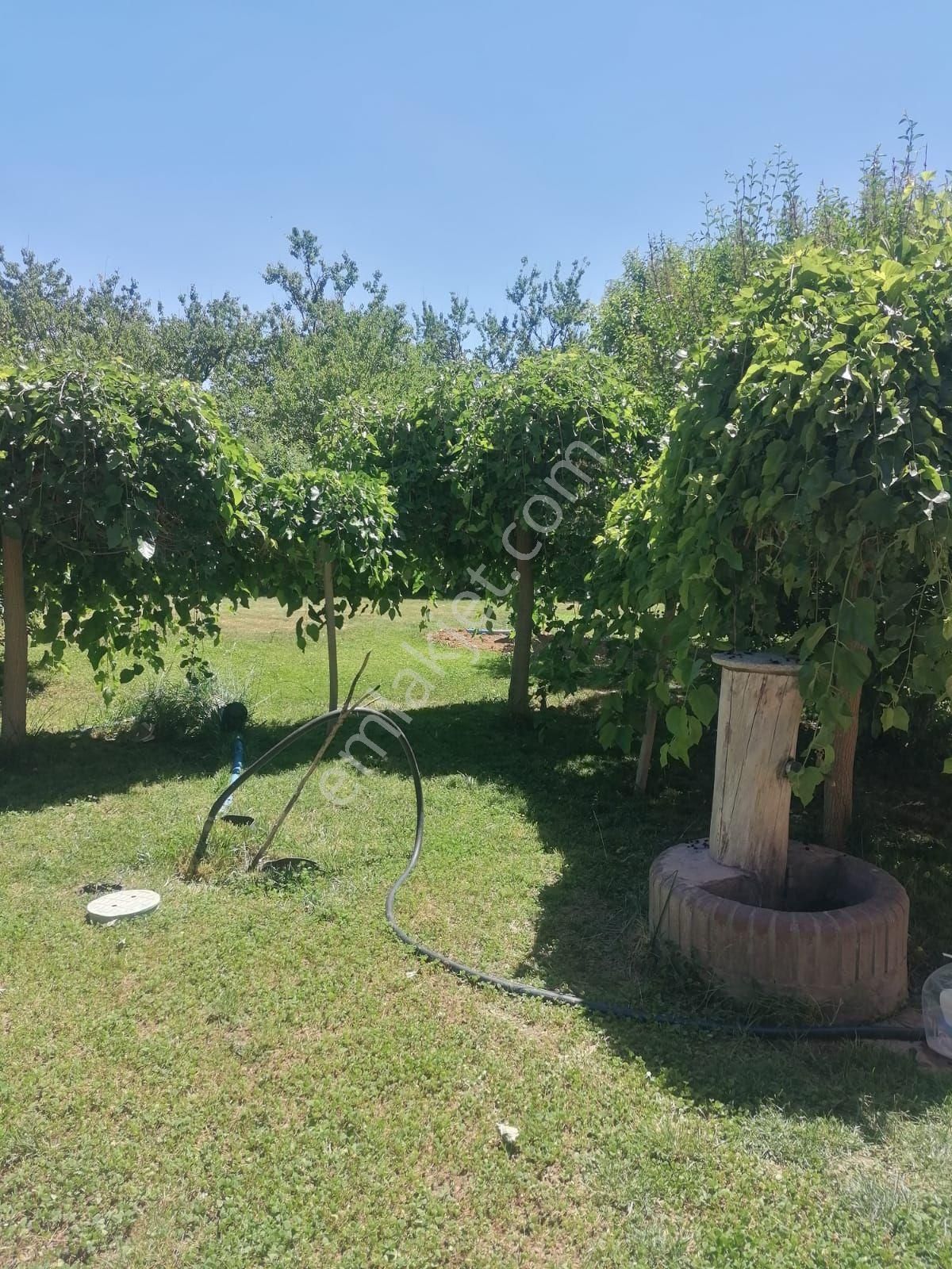 Yeşilyurt Topsöğüt Satılık Bağ & Bahçe Malatya Yeşilyurt Topsöğüt Te Satılık Villa